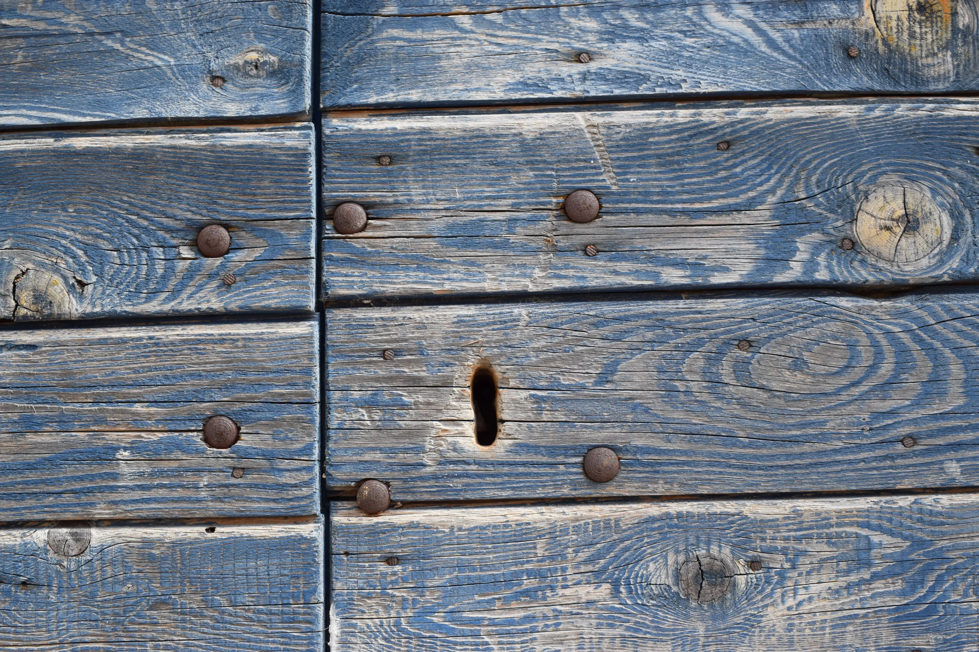 BlueDoor