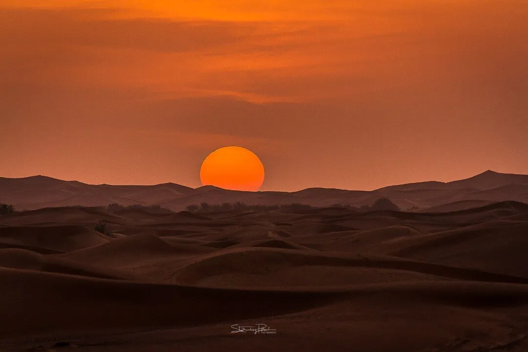 Desert Sunset