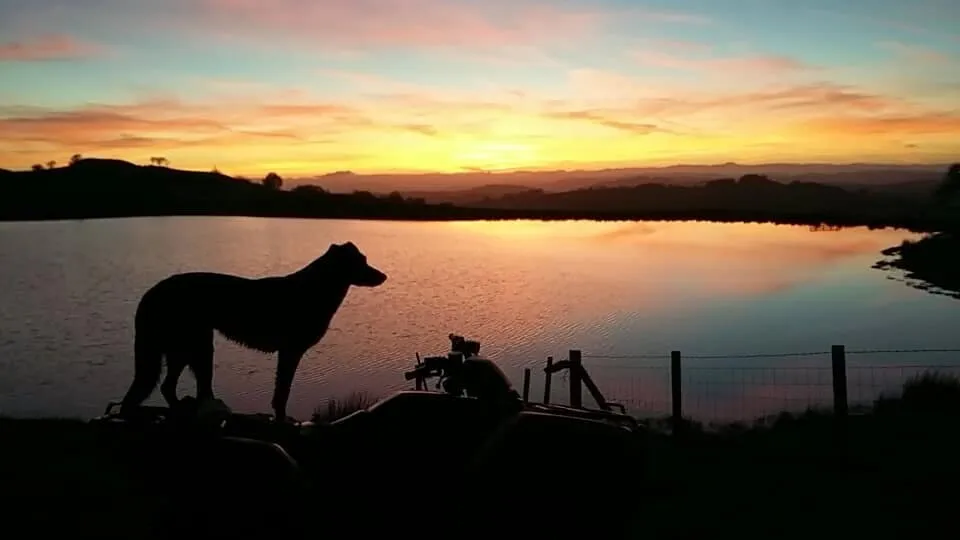 Lakeside Lad