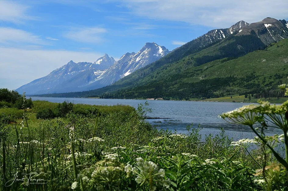 Grand Tetons Splendor