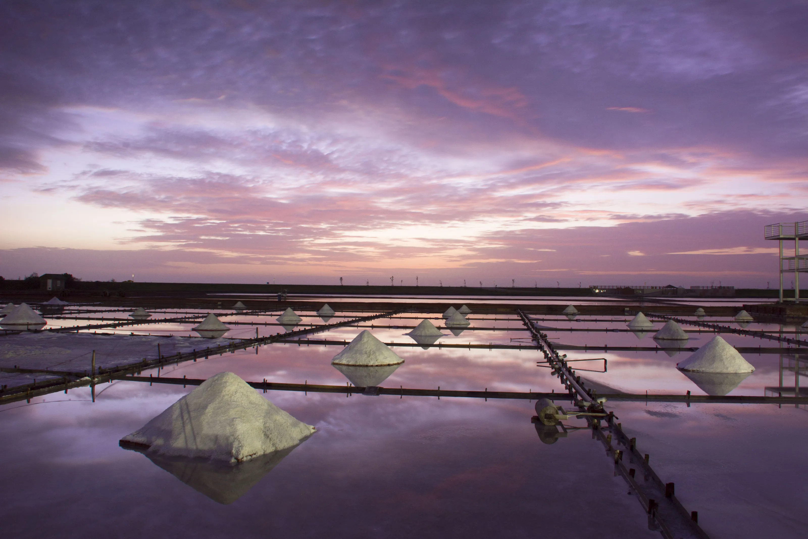 salt farm