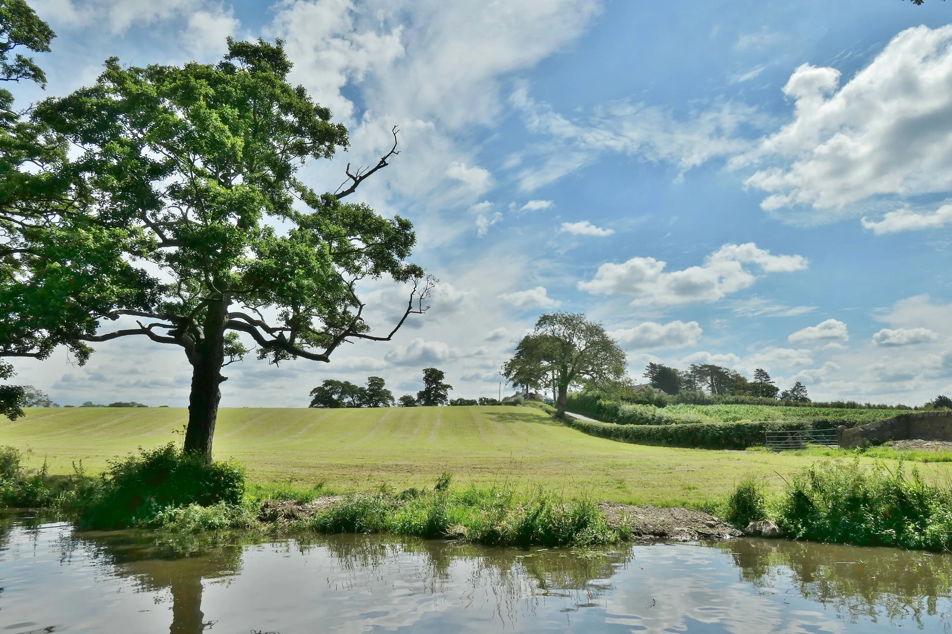 Forton landscape