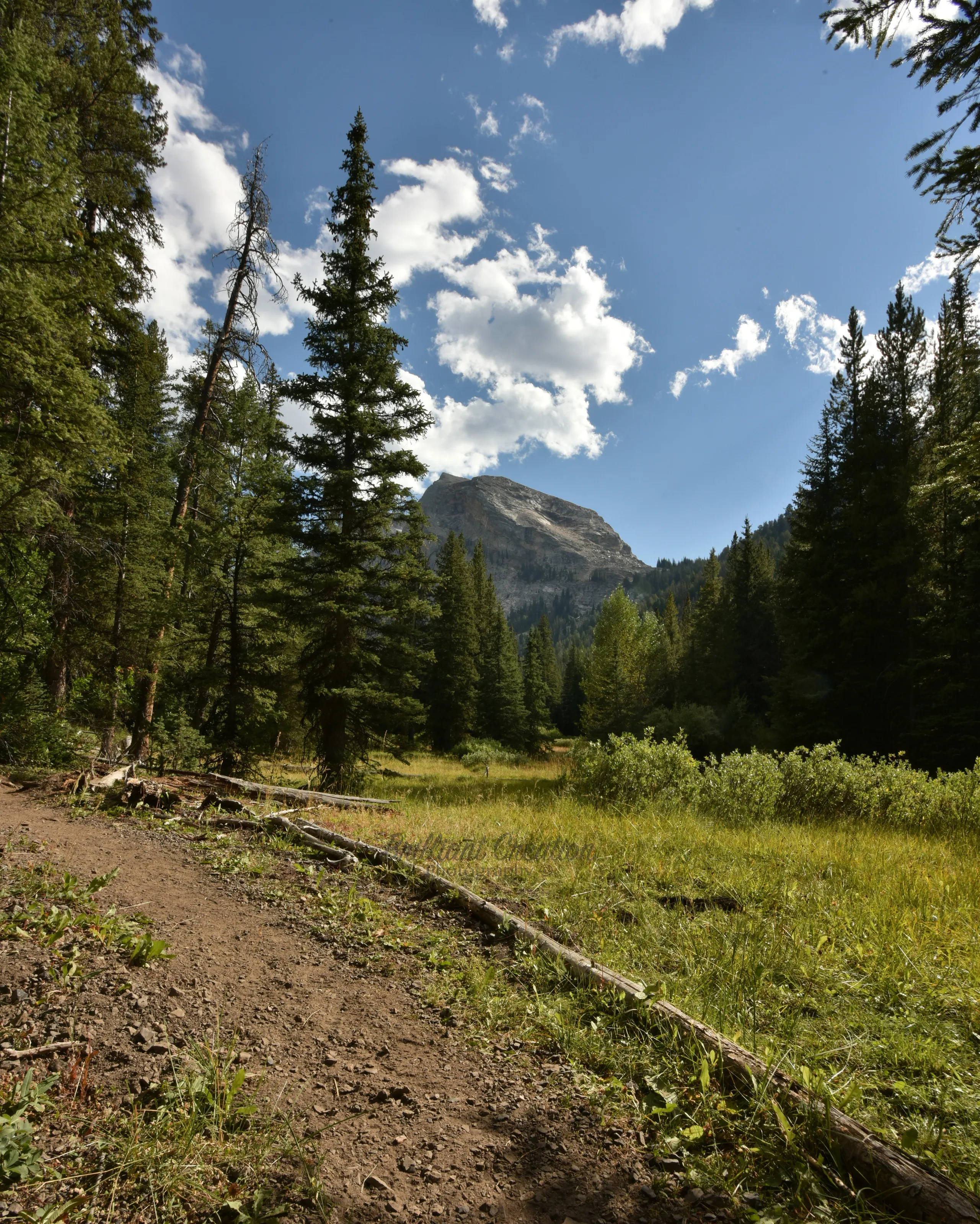 The Path