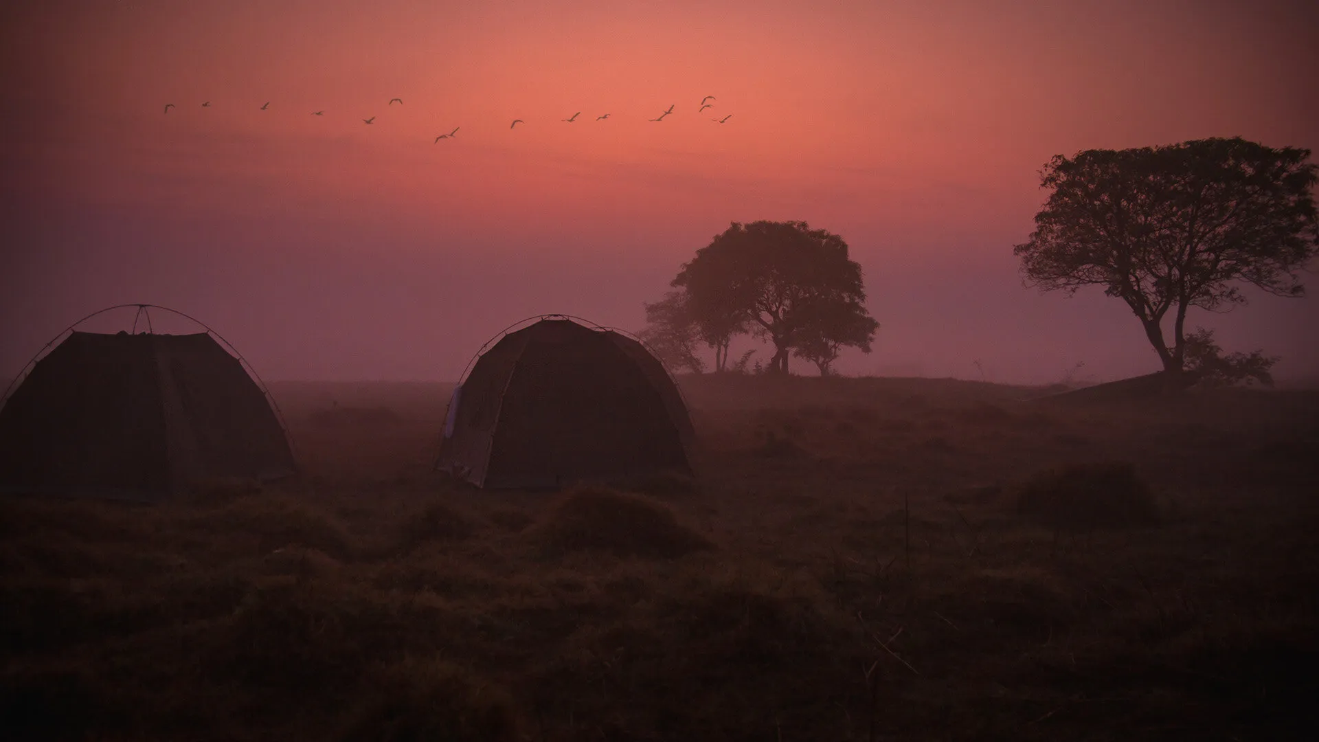 camp in the mist