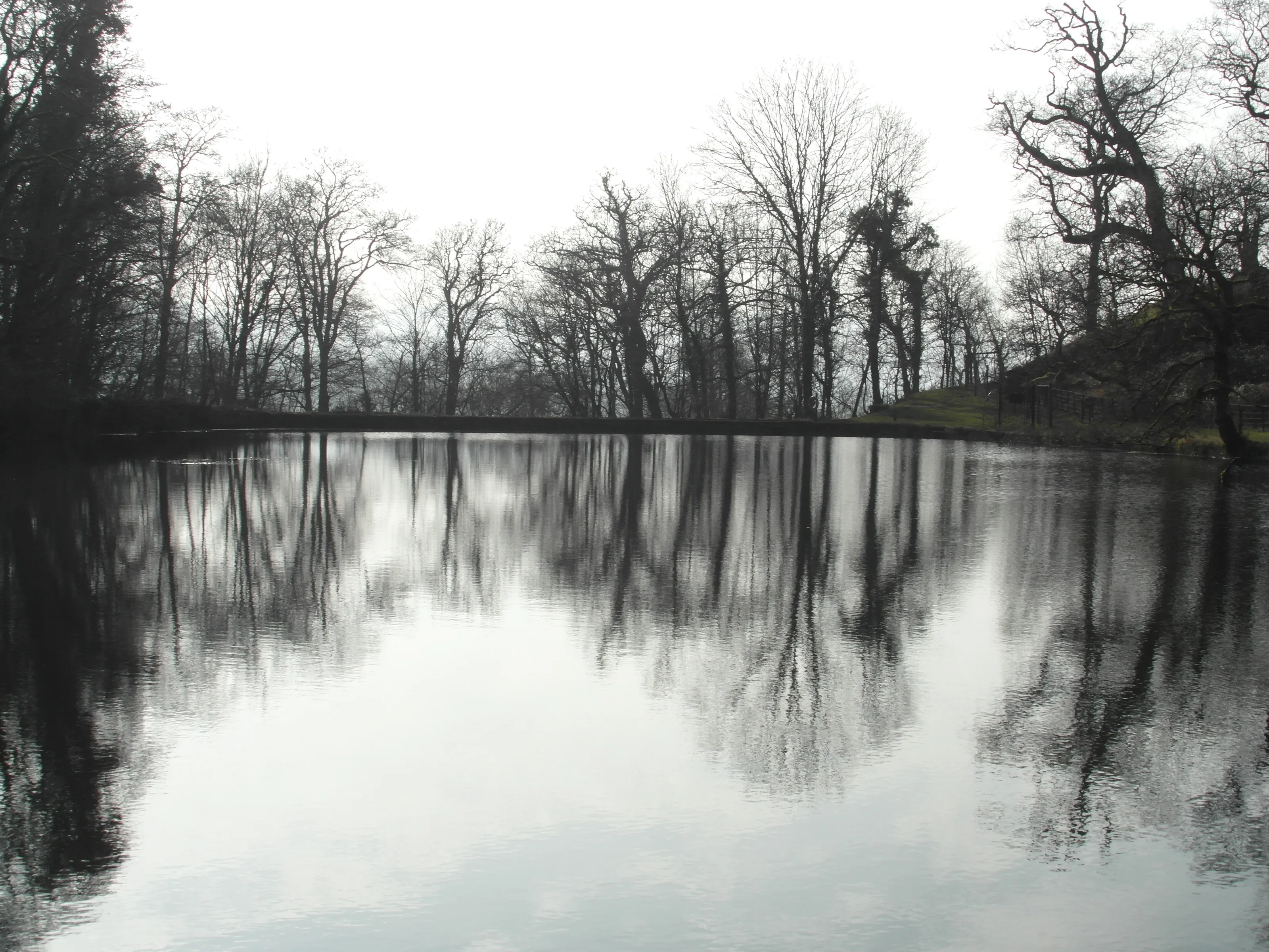Lake Reflection