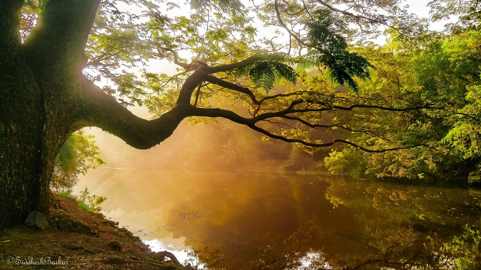 Magical Nature !!!