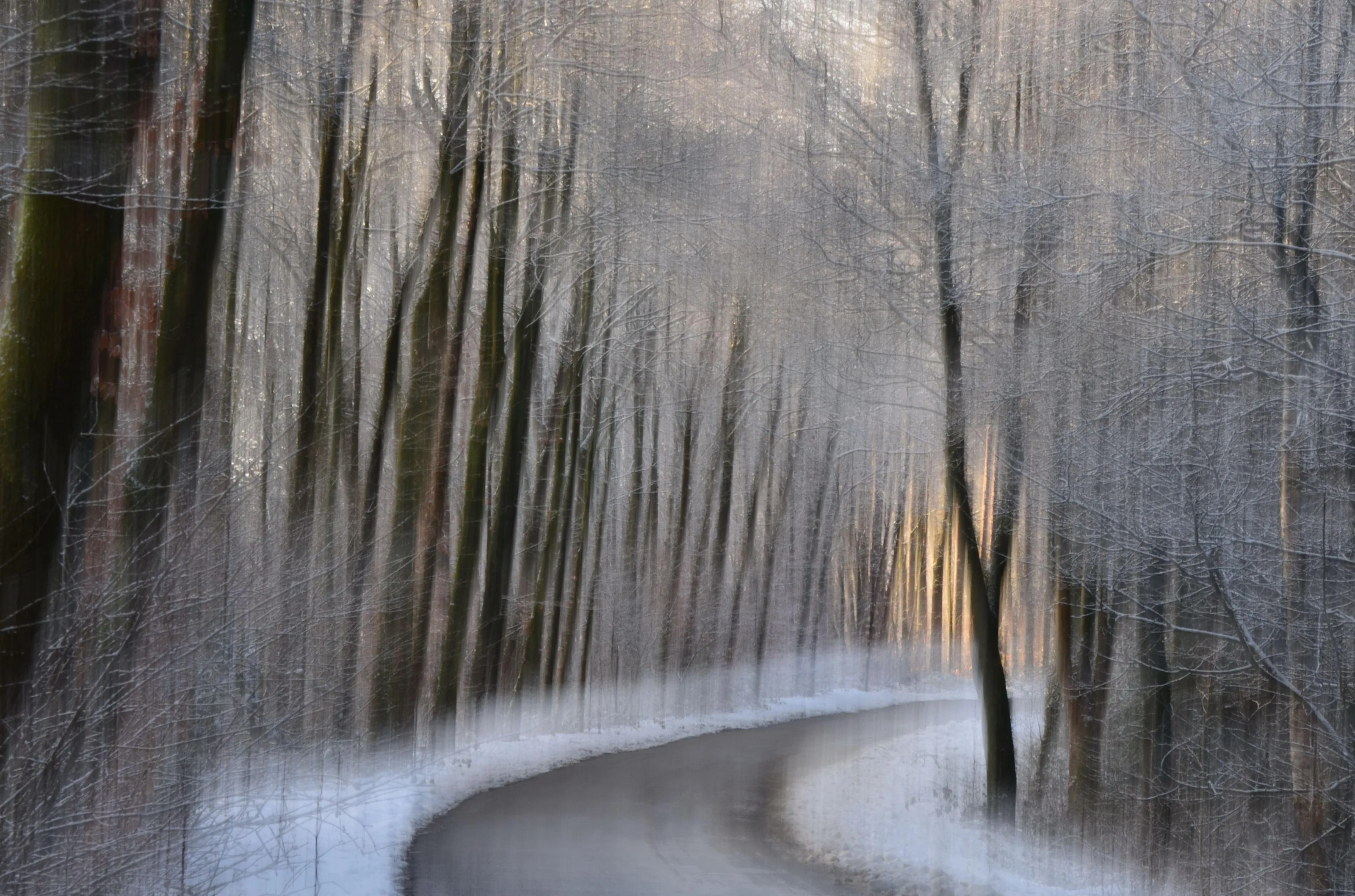 shaking winter