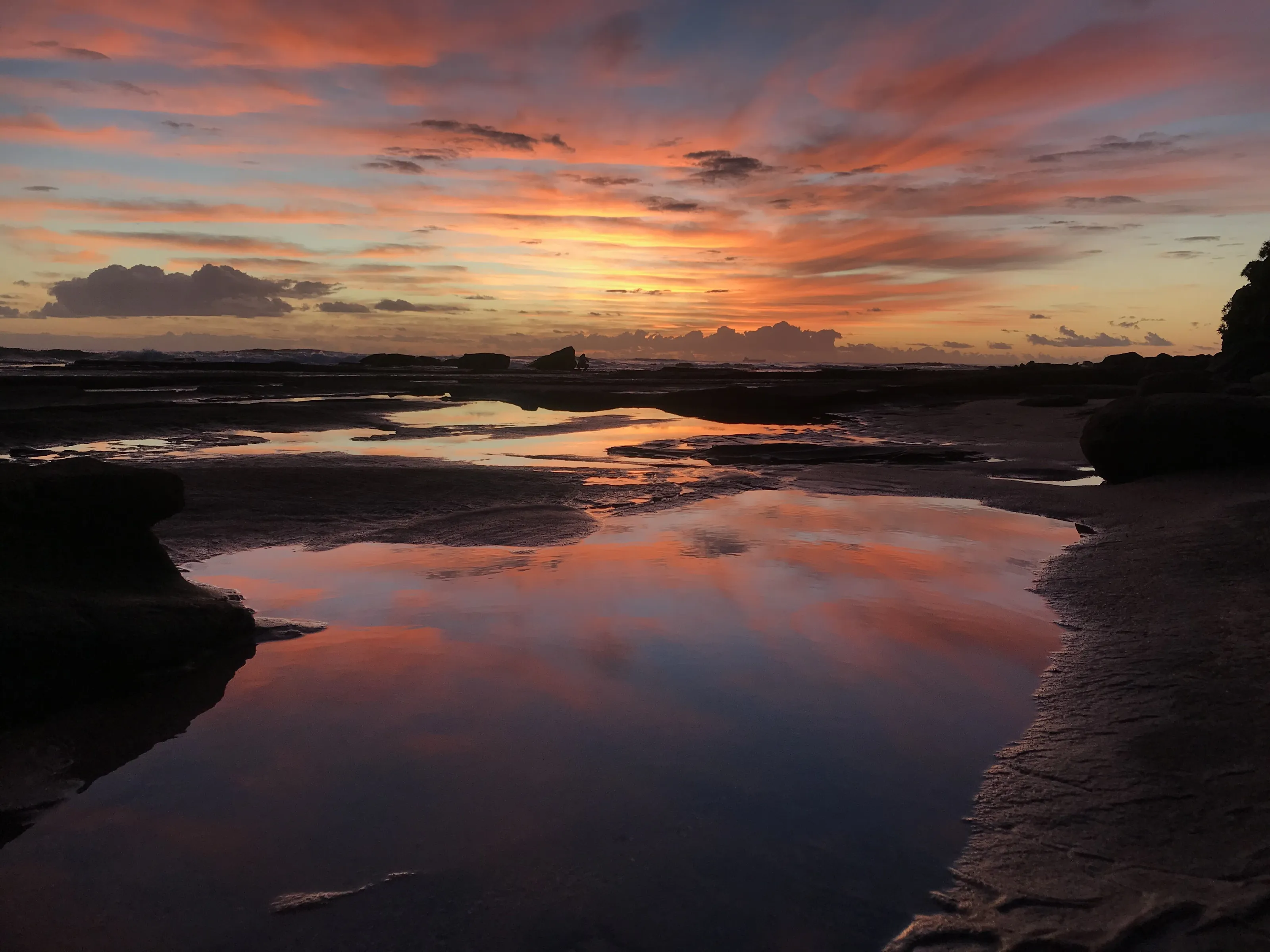 Beach landscape