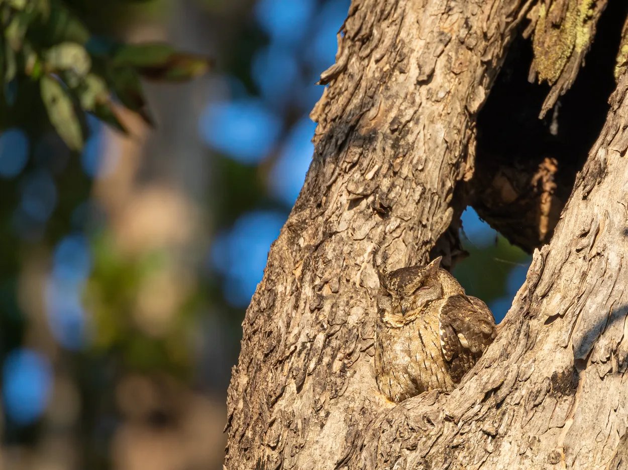 Entry 17928180