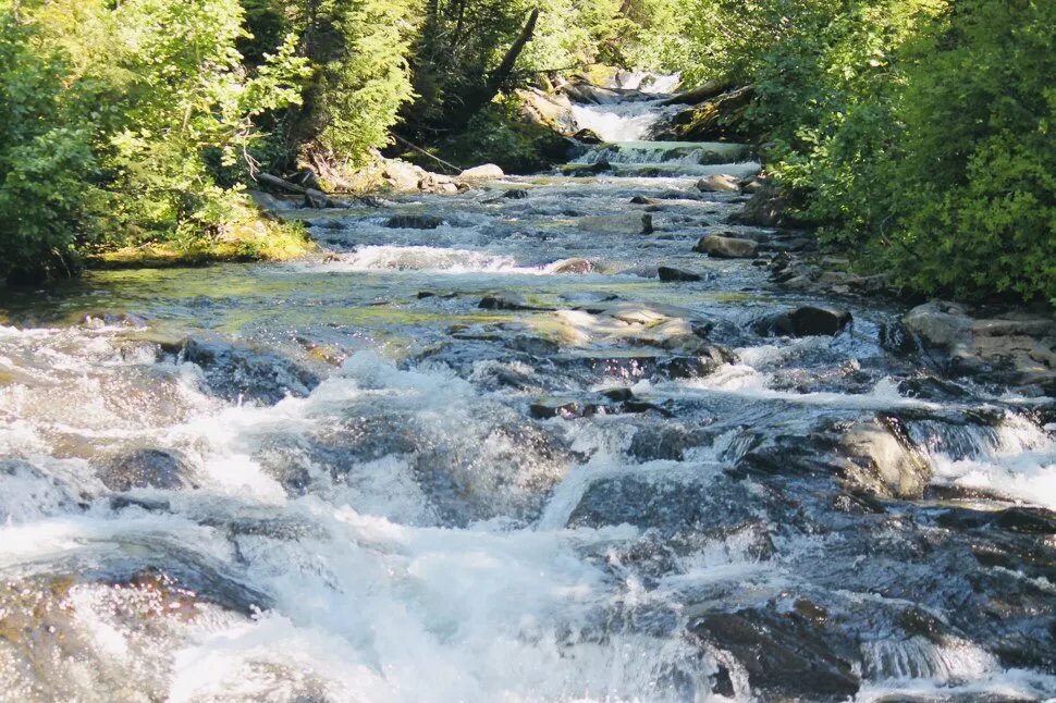 Natures tranquility