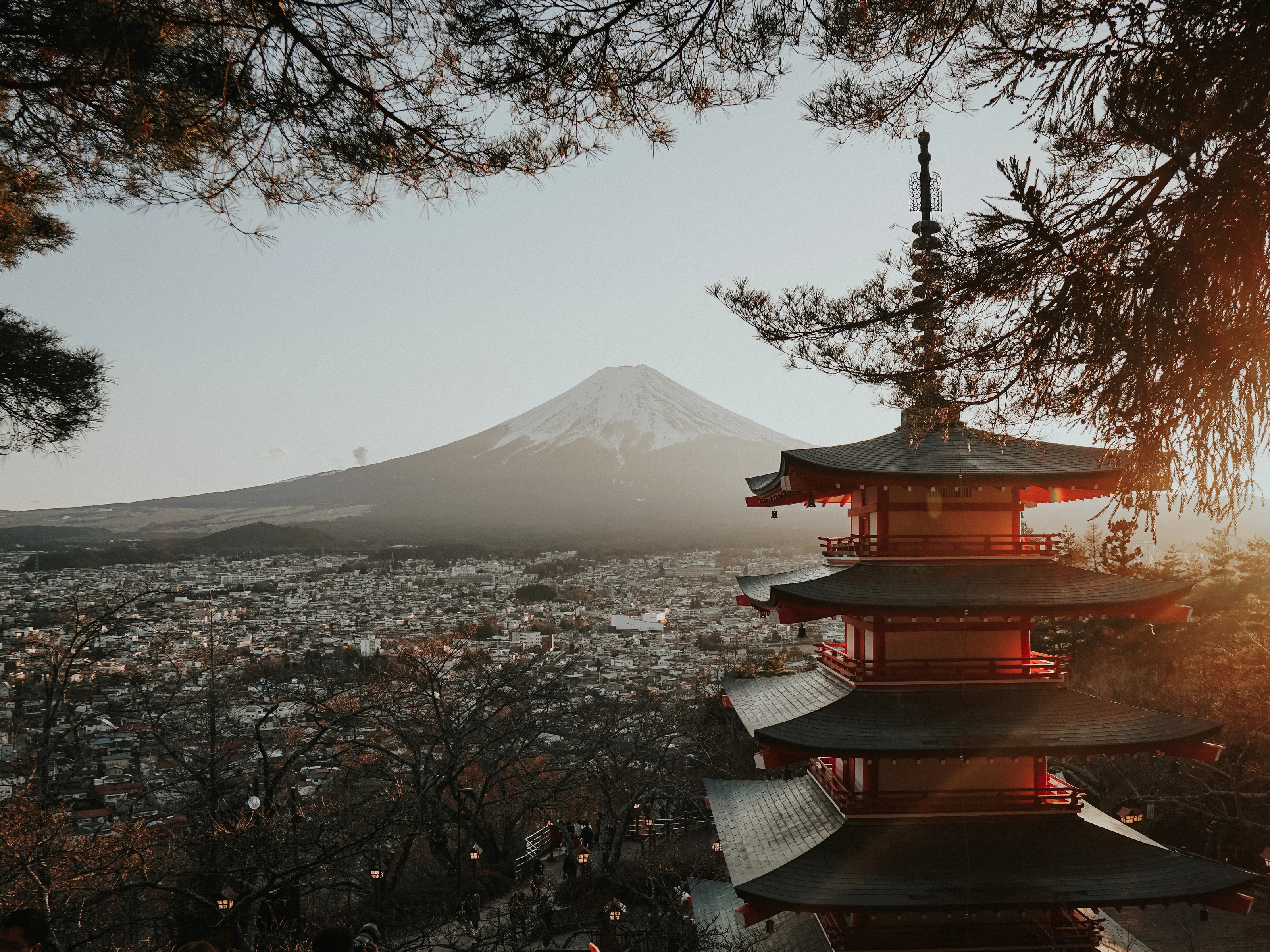 The Beauty of Mount Fuji.
