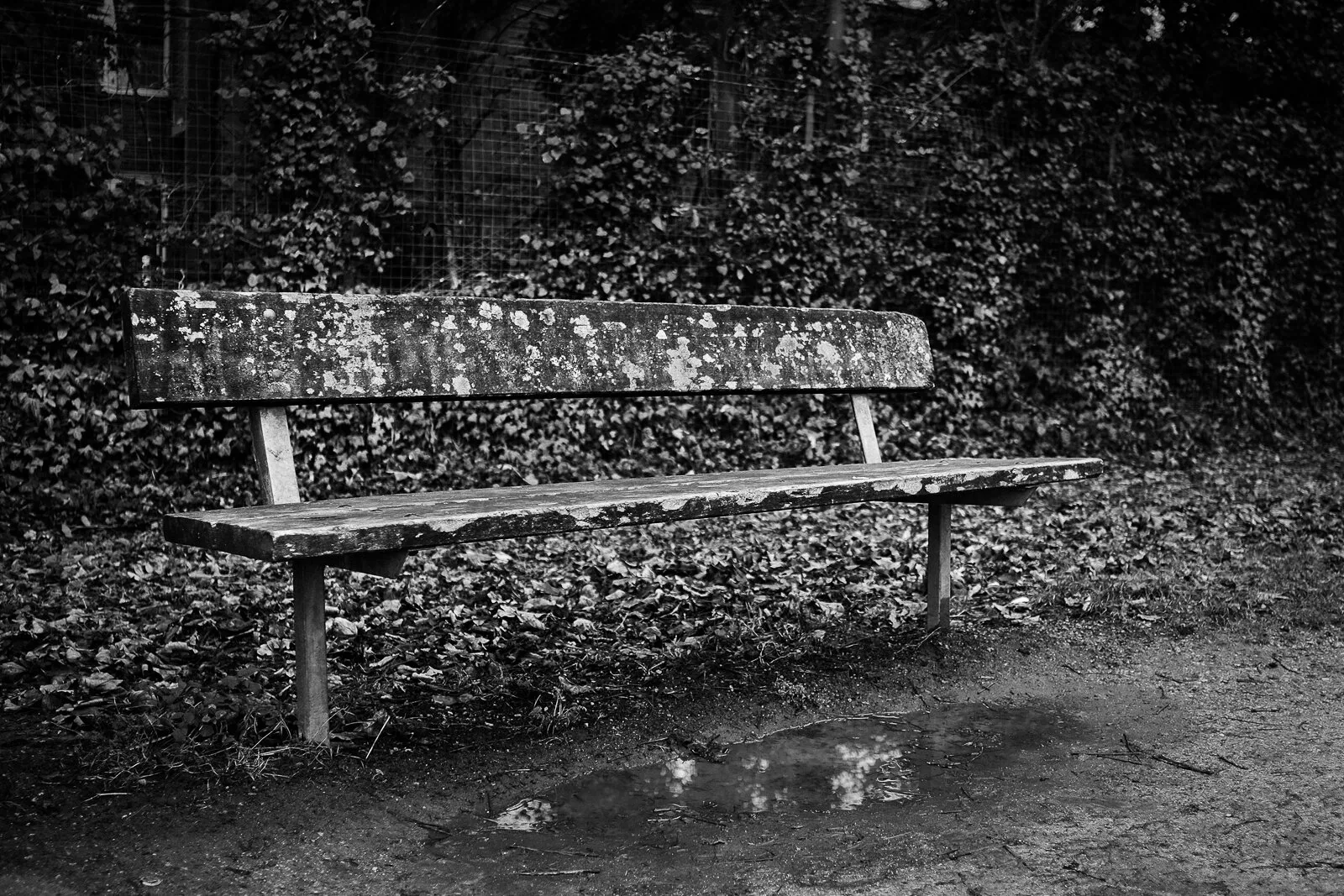 Bench Brawl