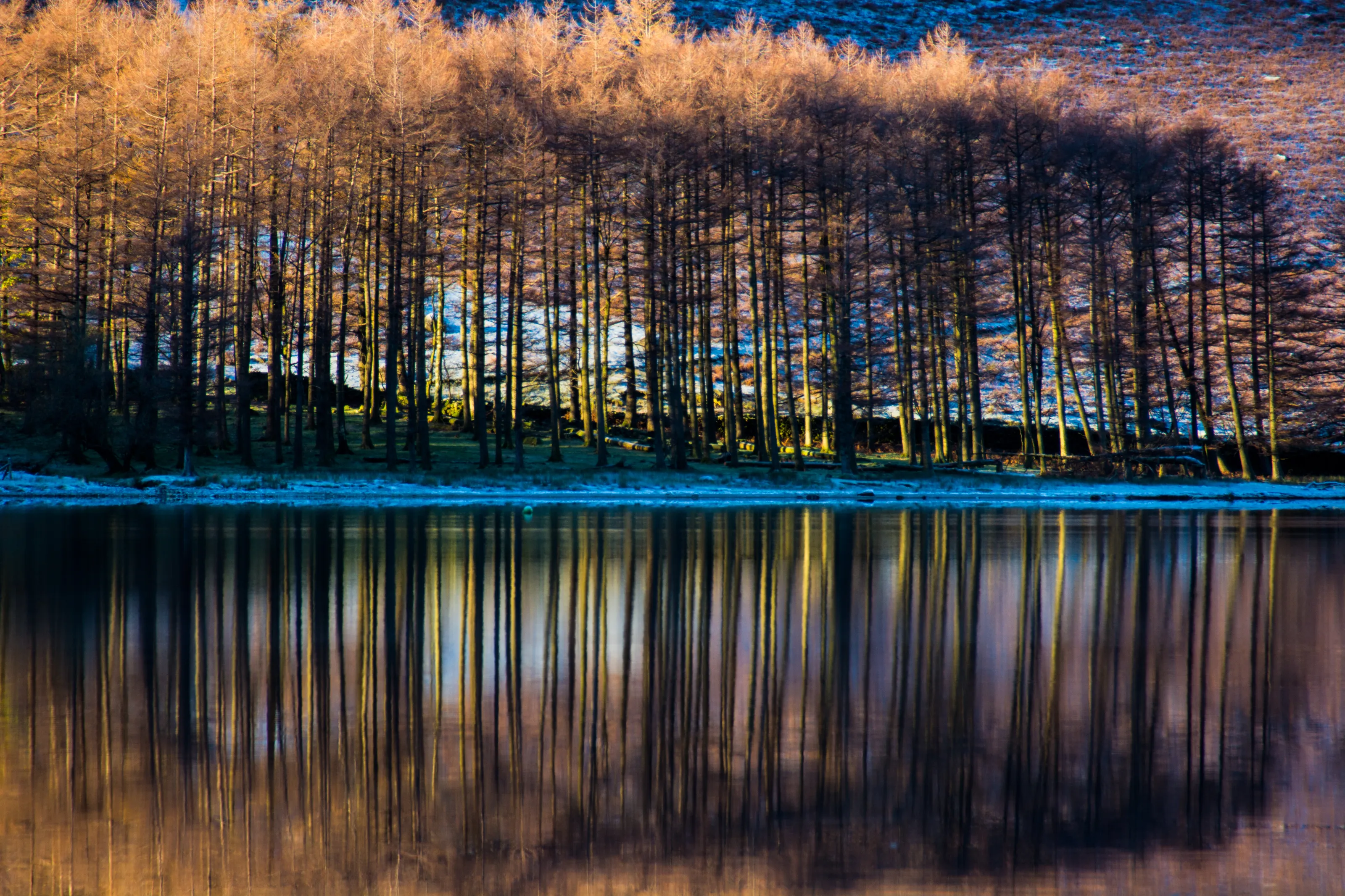 Autumn reflection