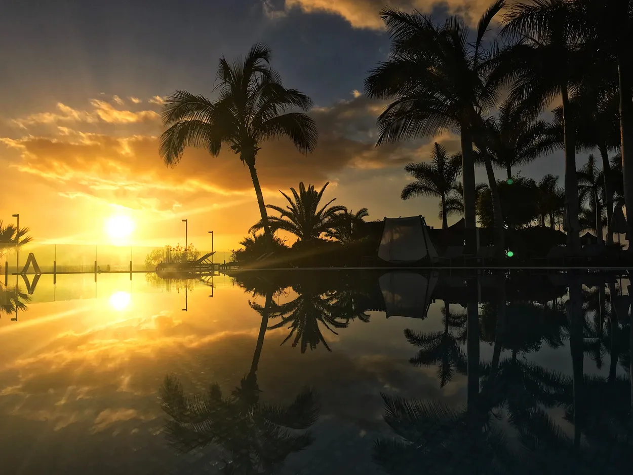 Entry 9147581
