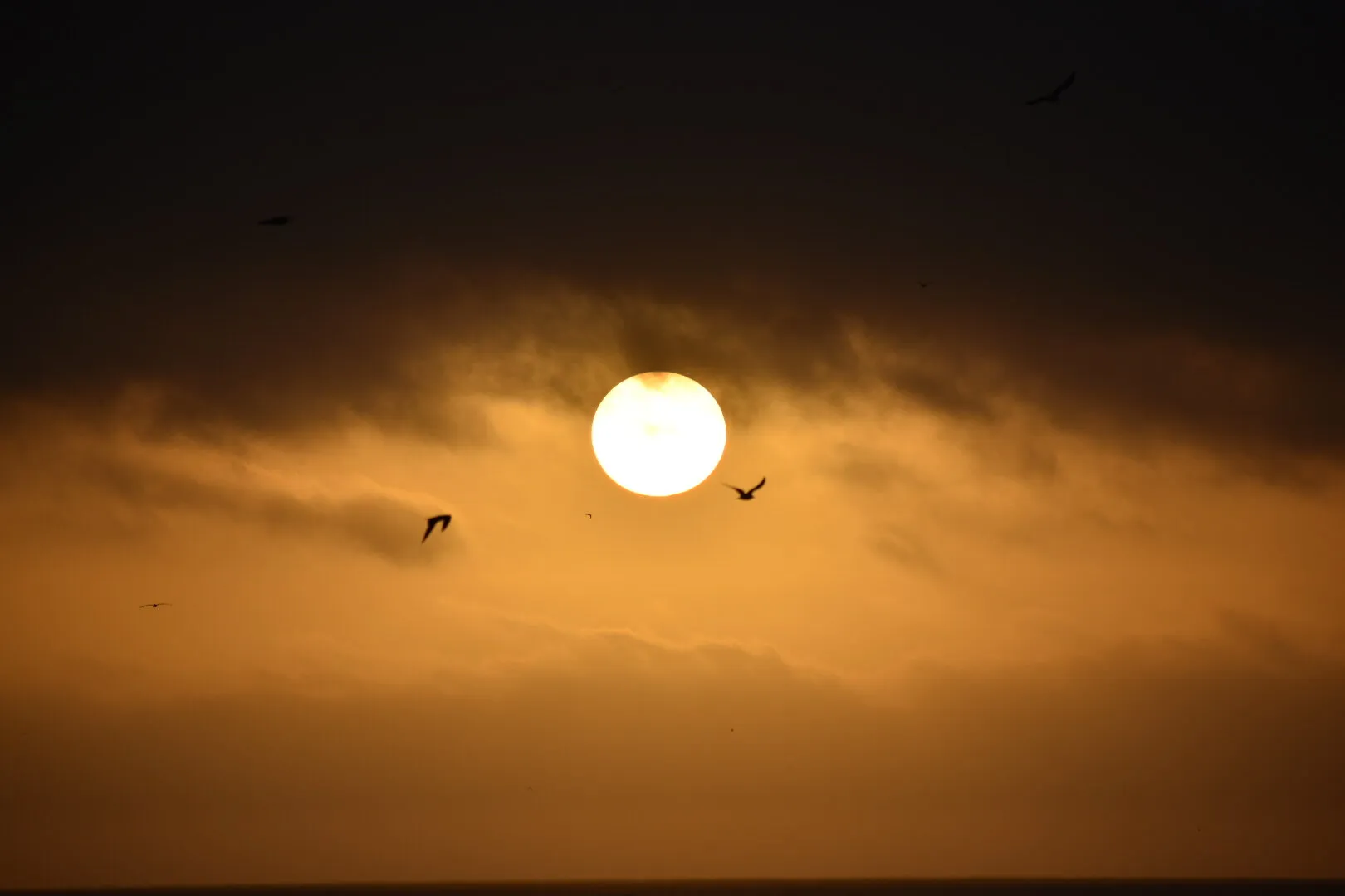 Cloudy sunrise