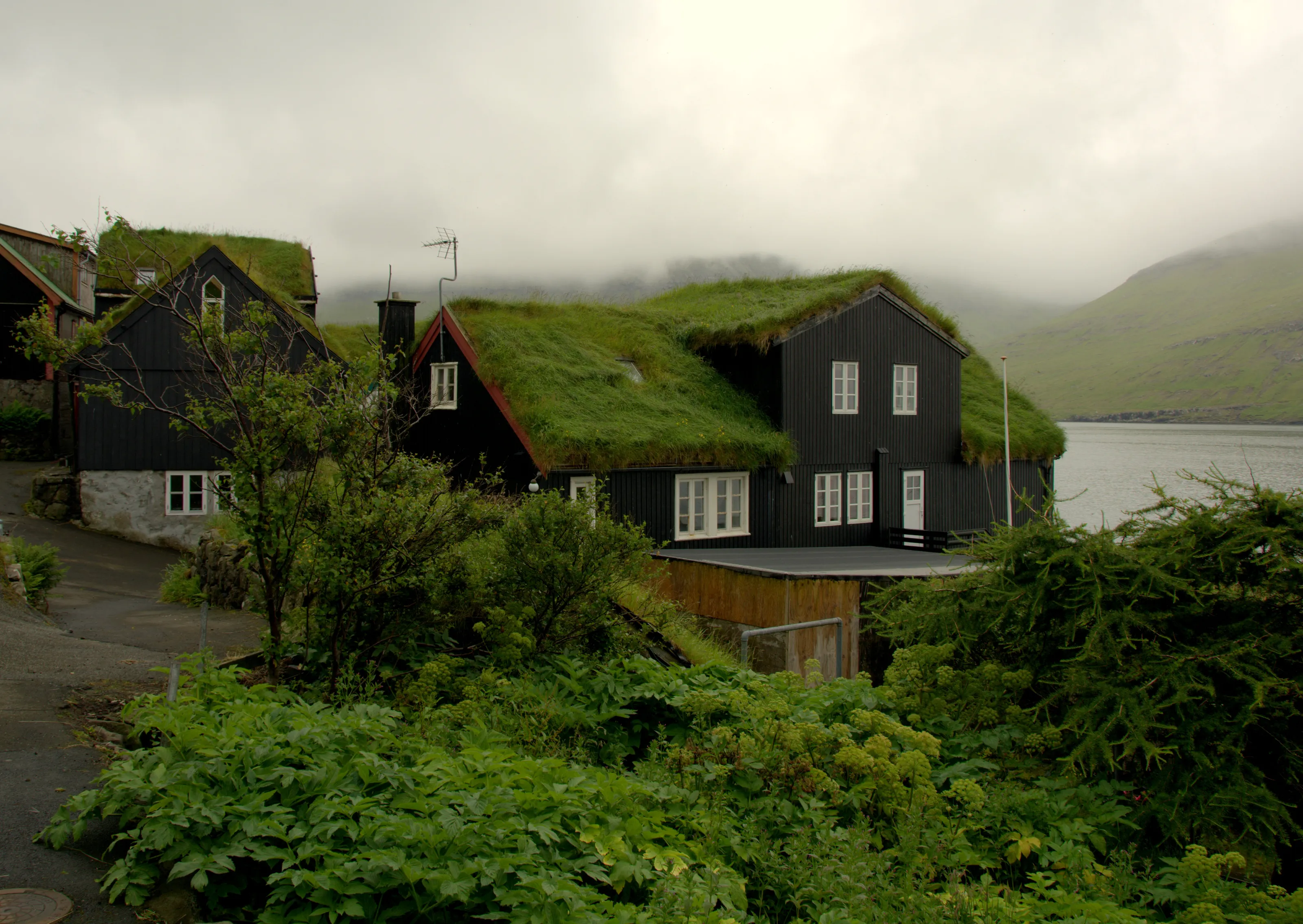 The Verdant Village