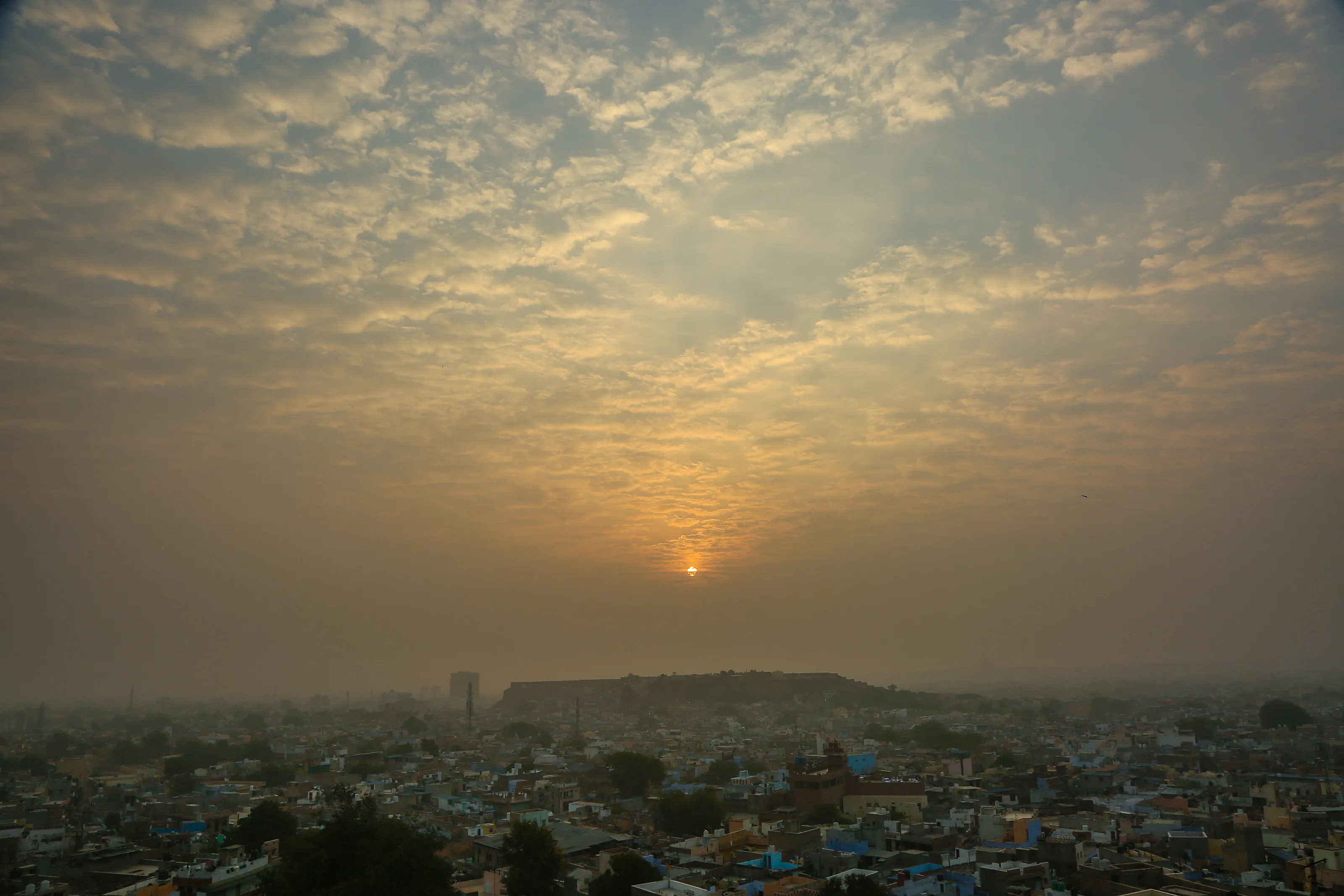 Jodhpur