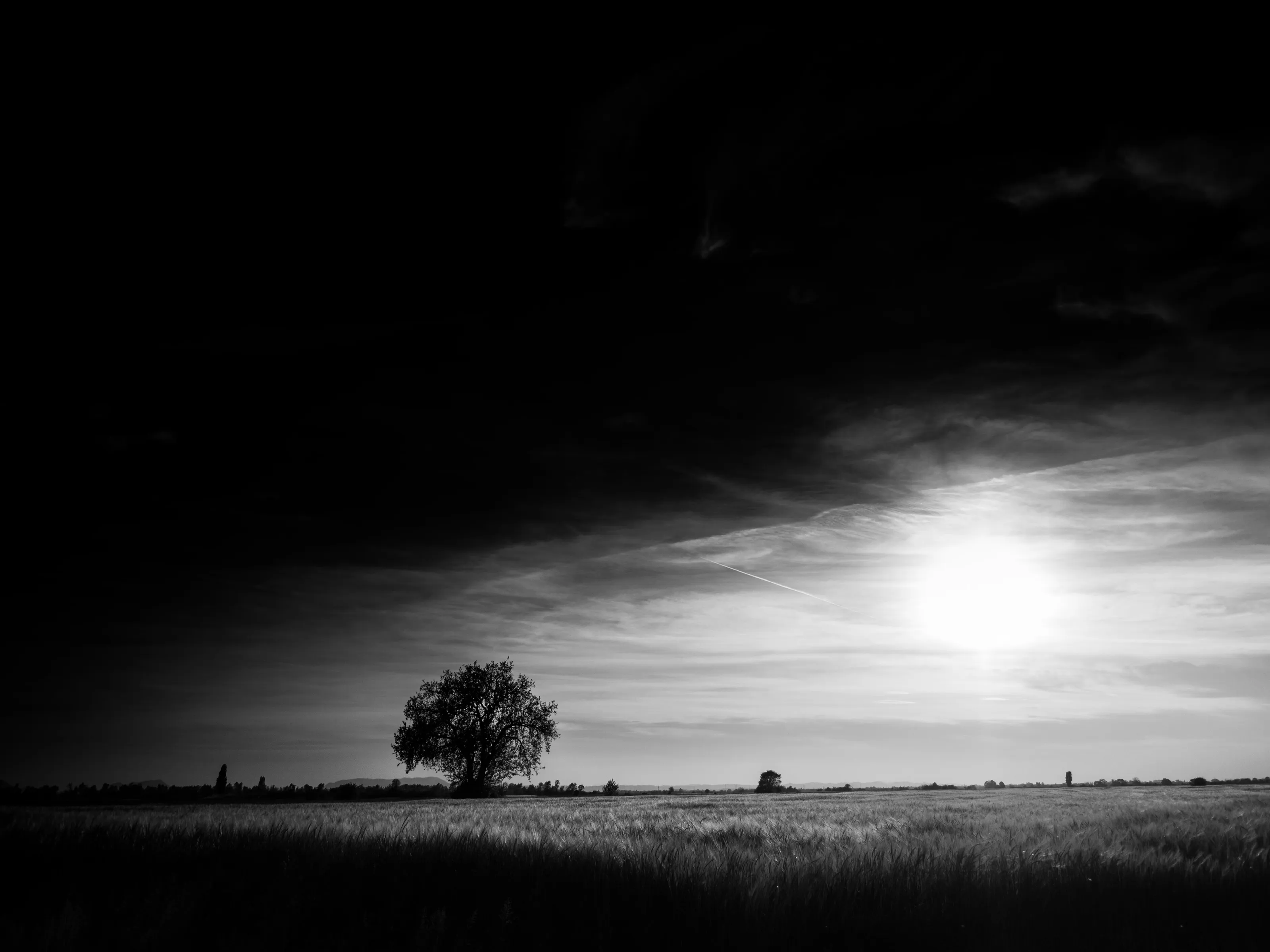 Landscape 1