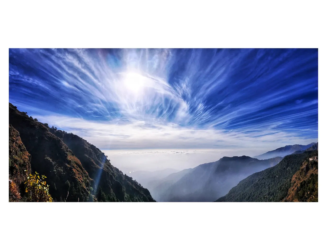 Entry 7089720