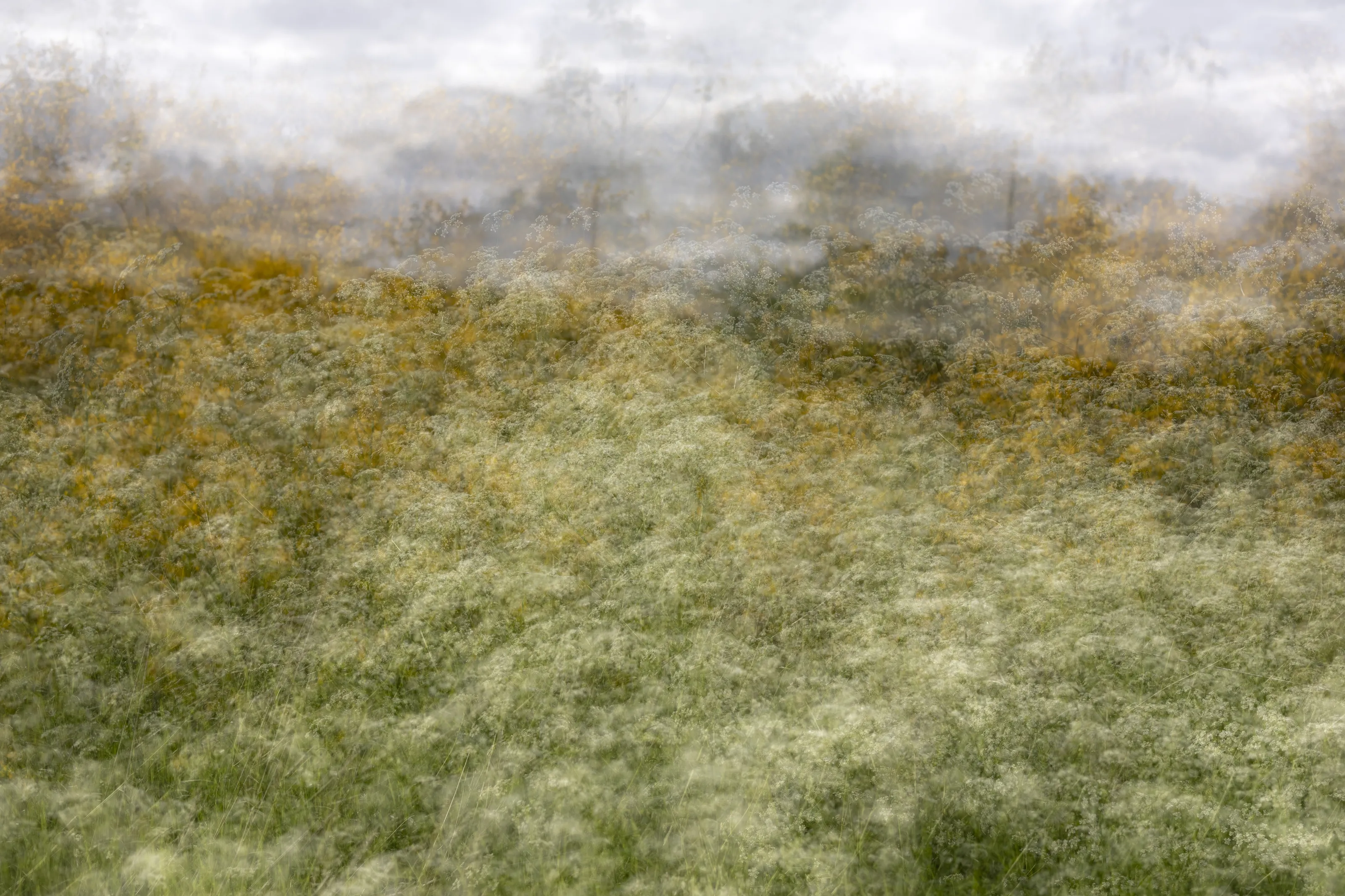 Abstract Landscape