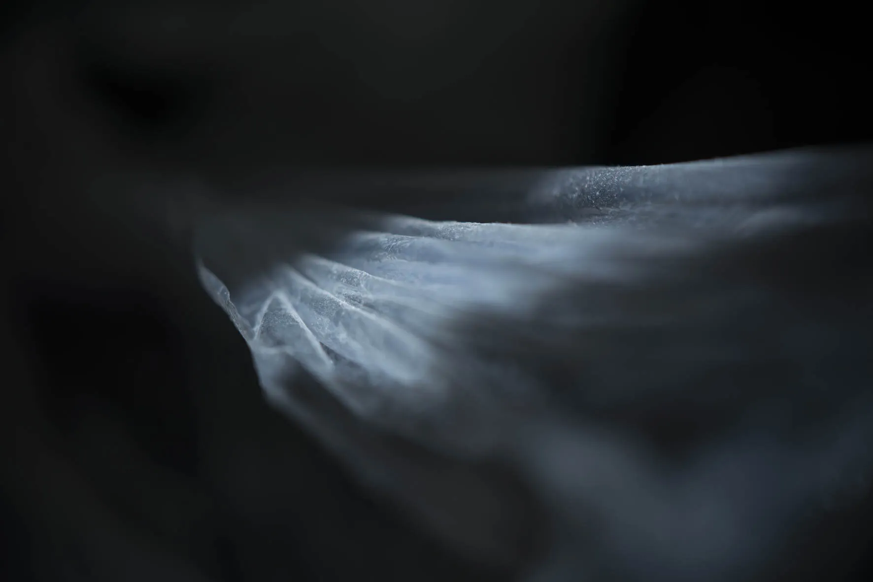 Disappearances