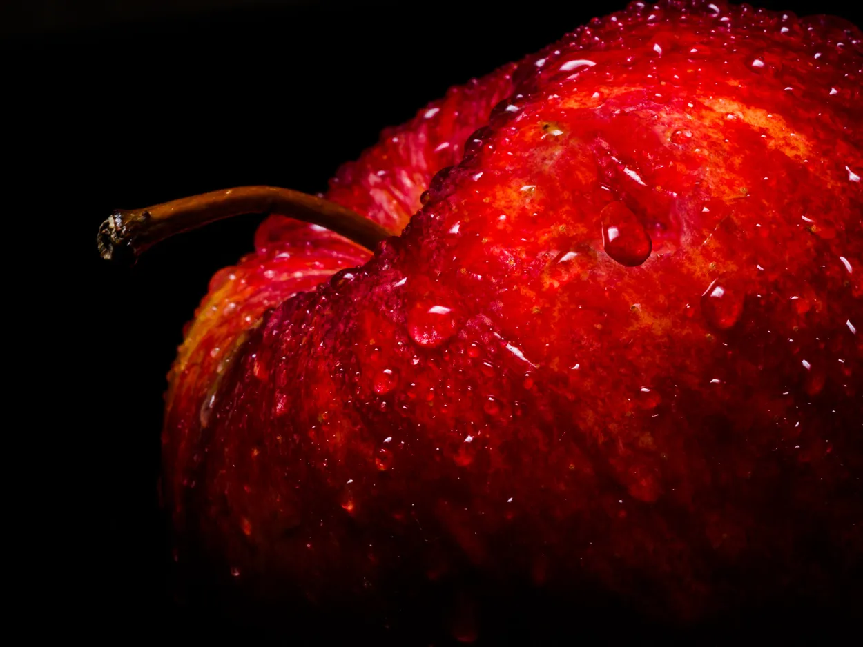 Entry 2828608