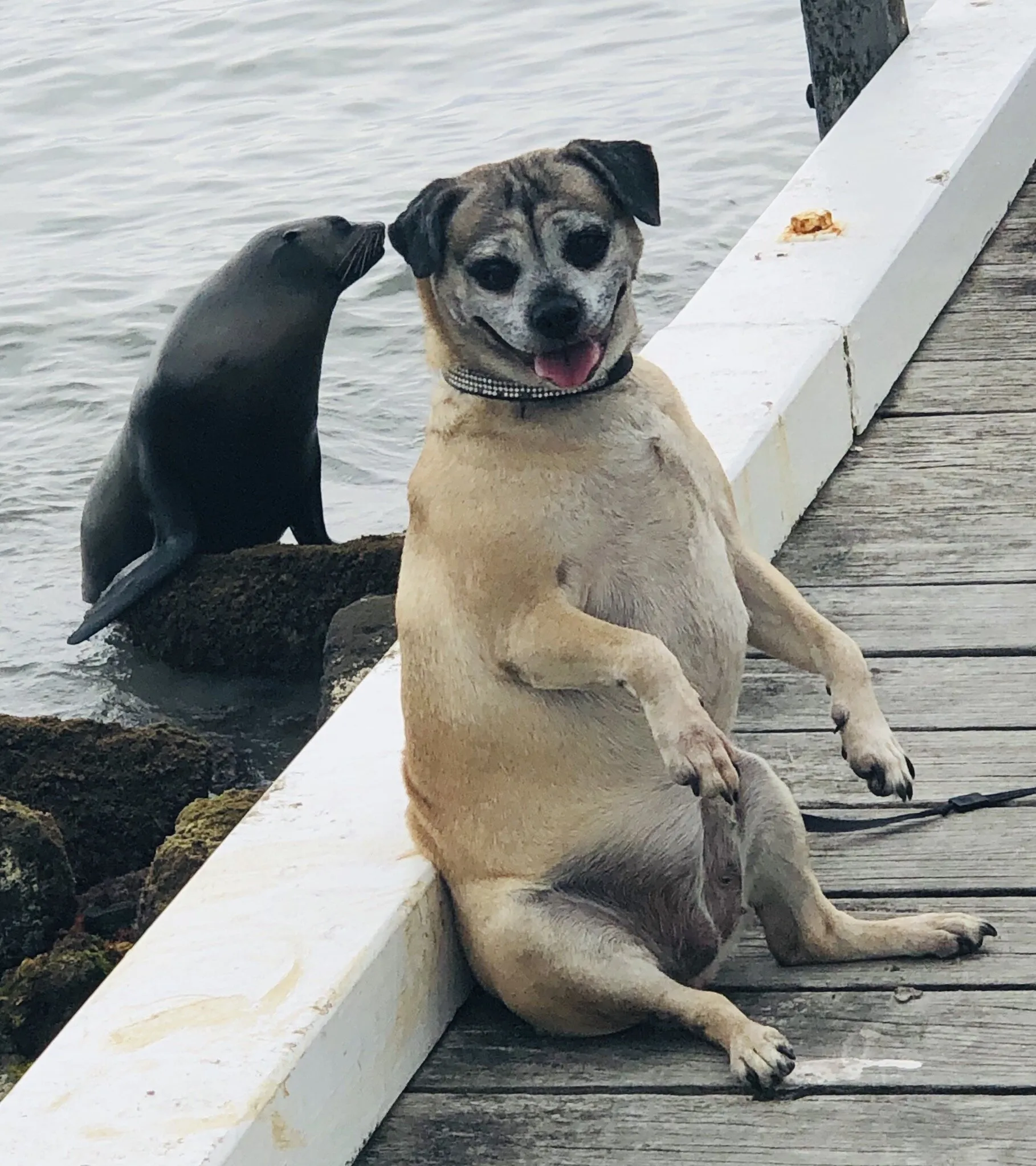 Sealed with a Kiss
