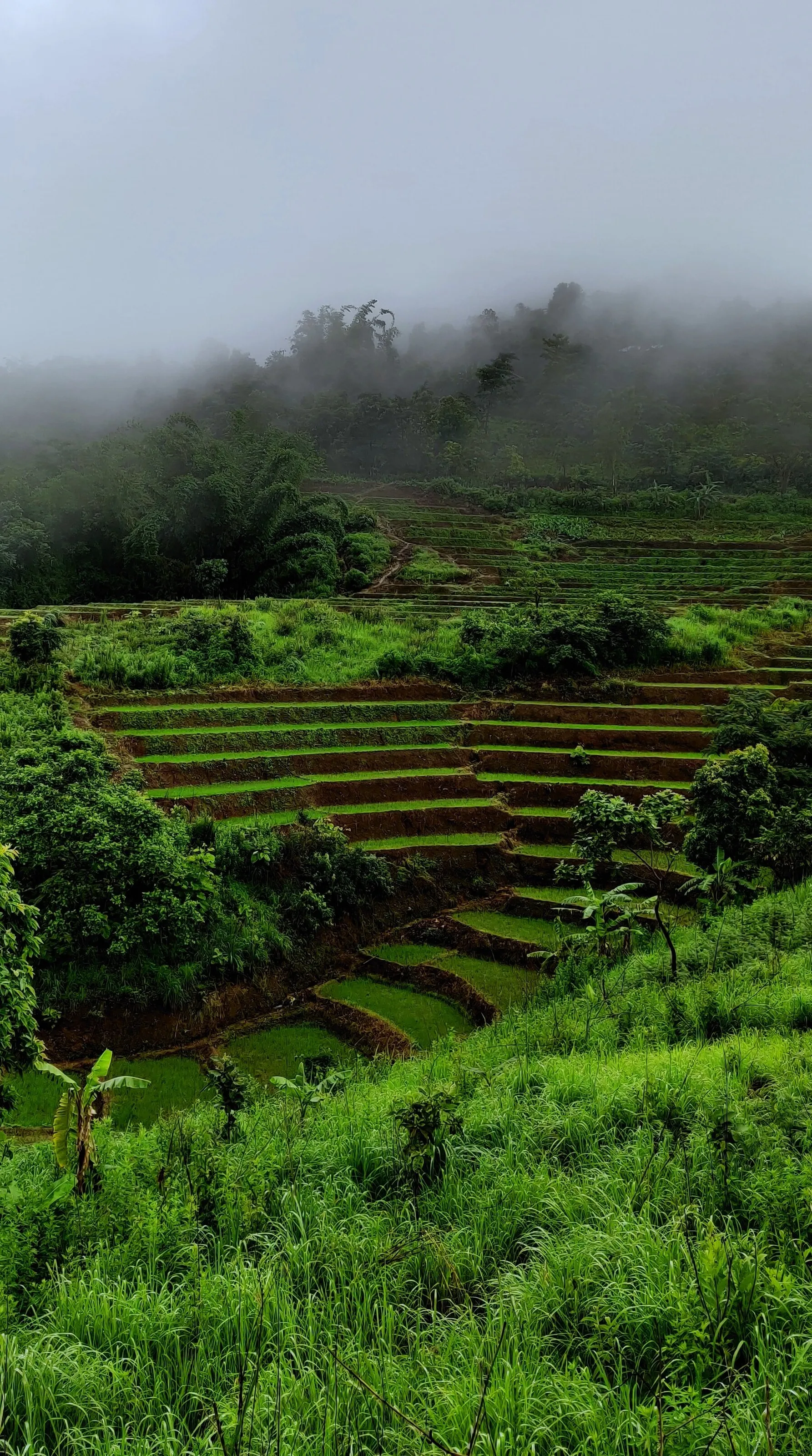 Finding Inner Peace through Nature.