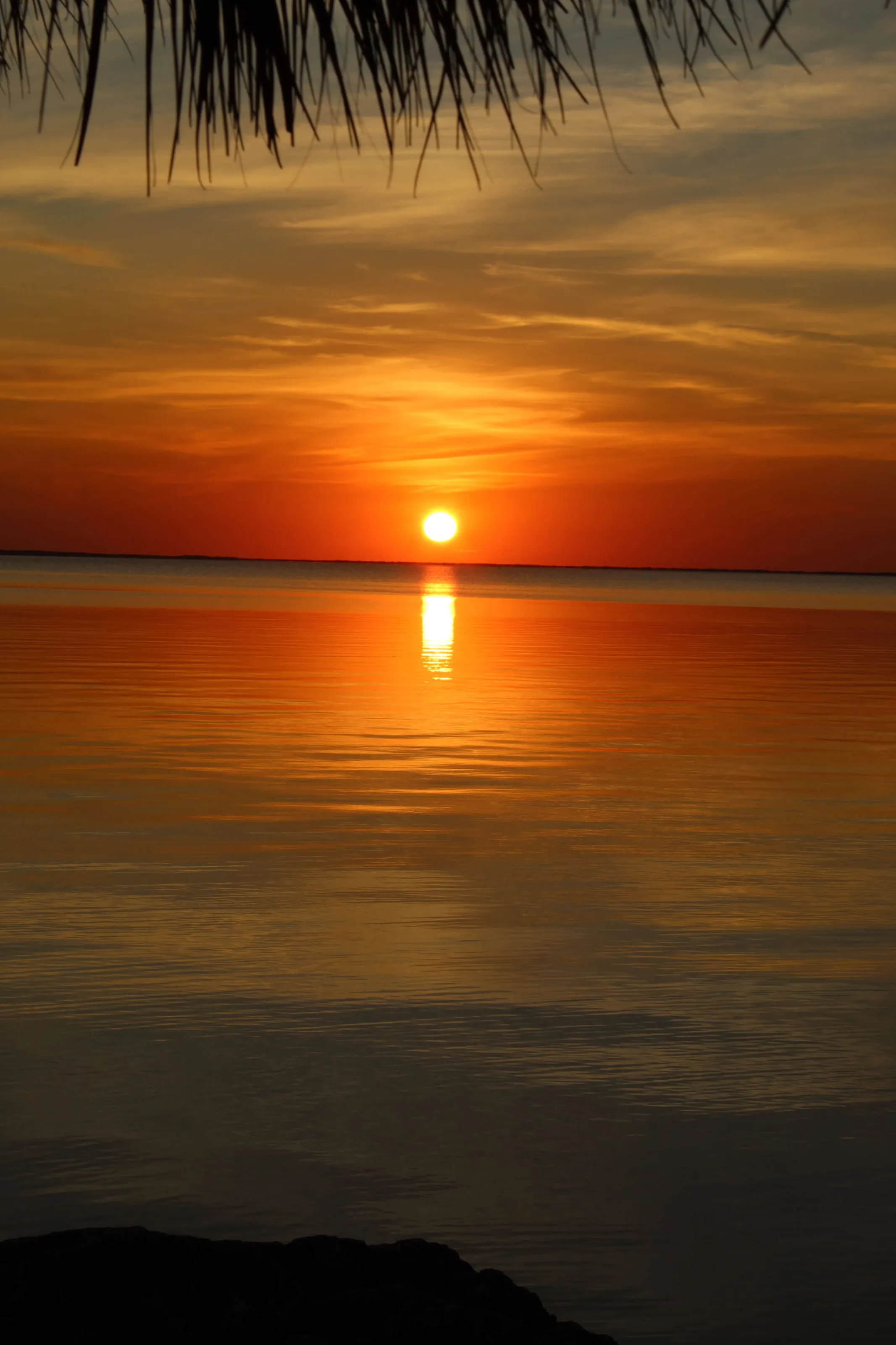 Good Night Key Largo