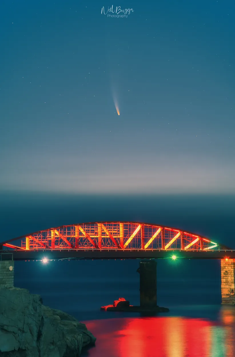 Entry 7120619
