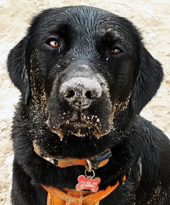 Entry 7216914