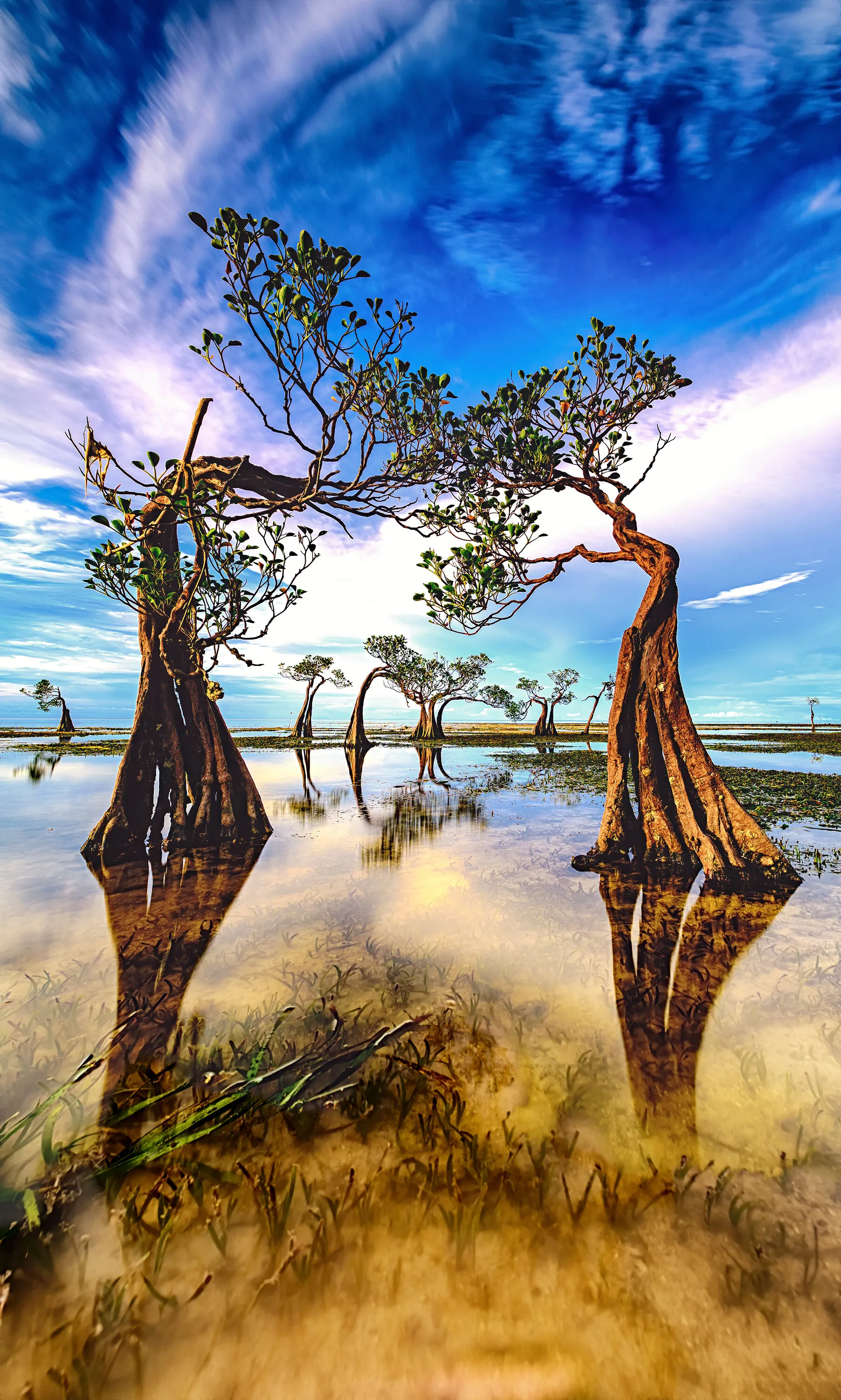 Dancing trees