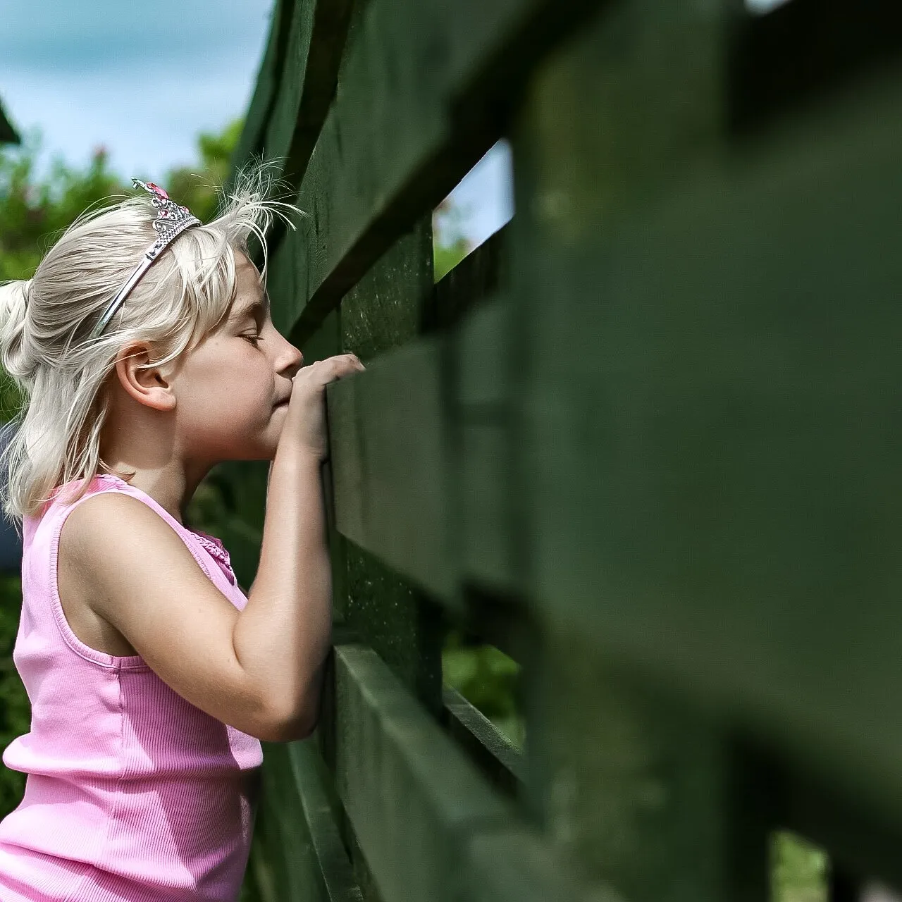 Peeking through the fence