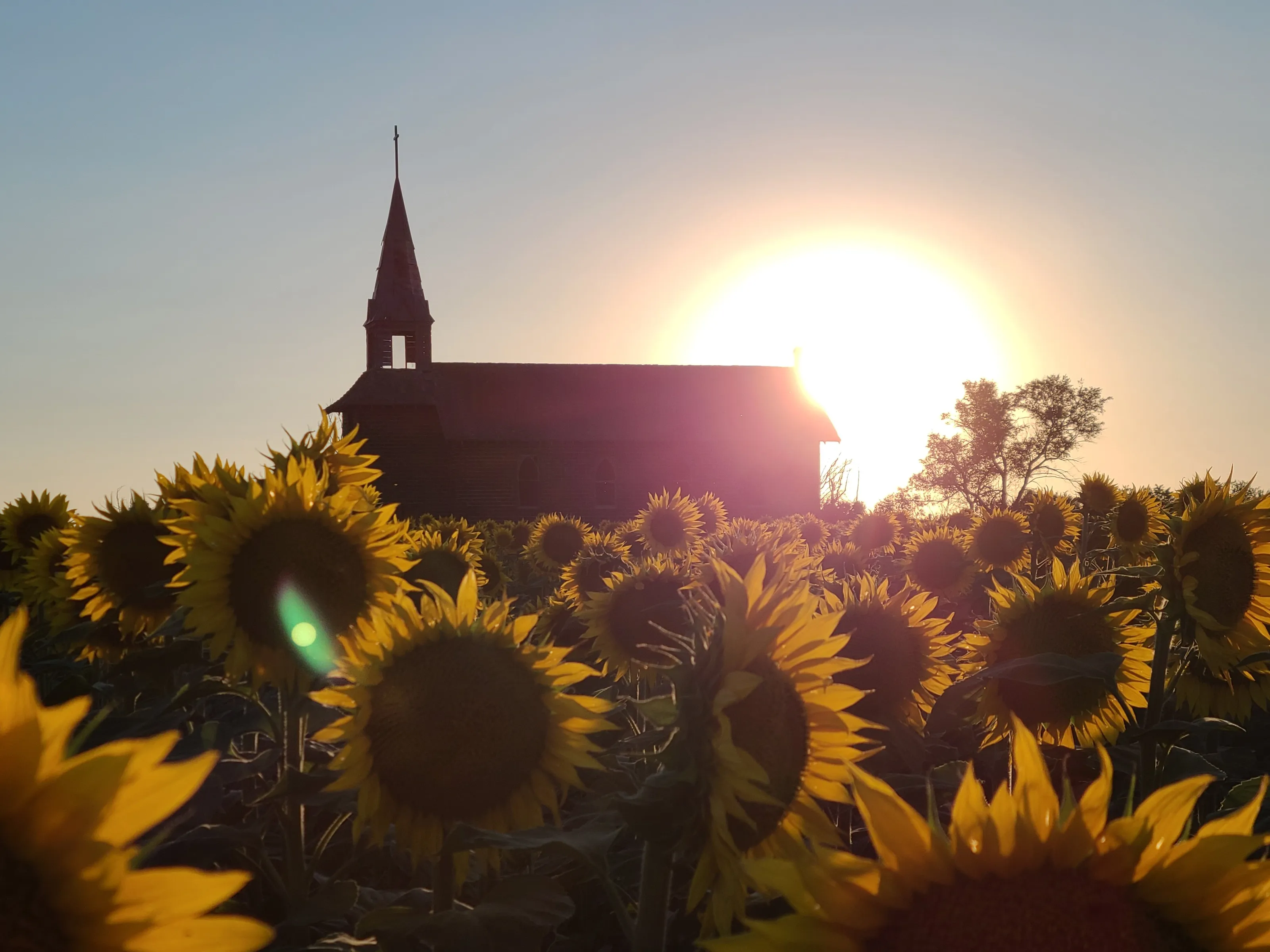 Sunflower church