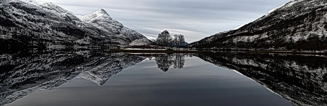 Entry 7359749