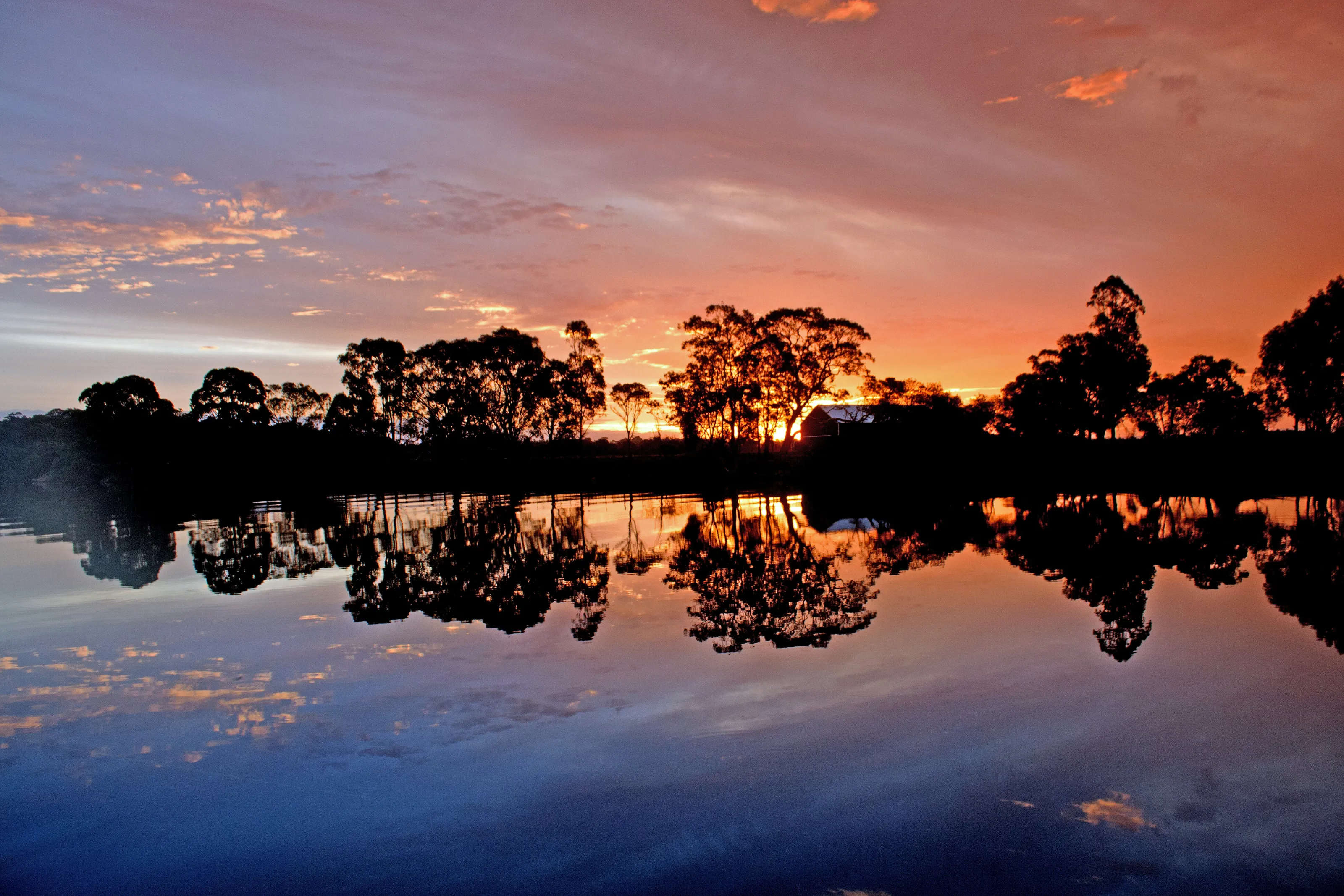 Reflection in the water