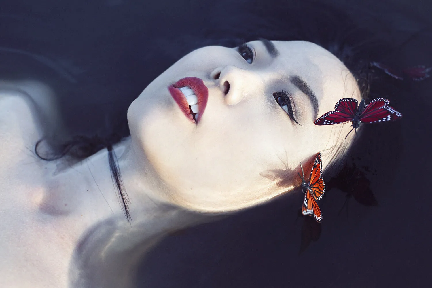 Butterflies