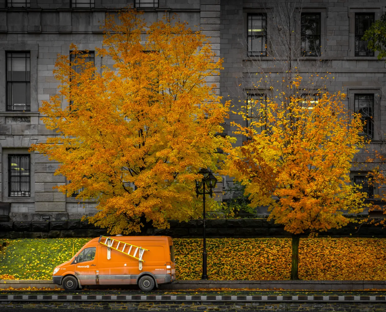 It's Definitely Fall