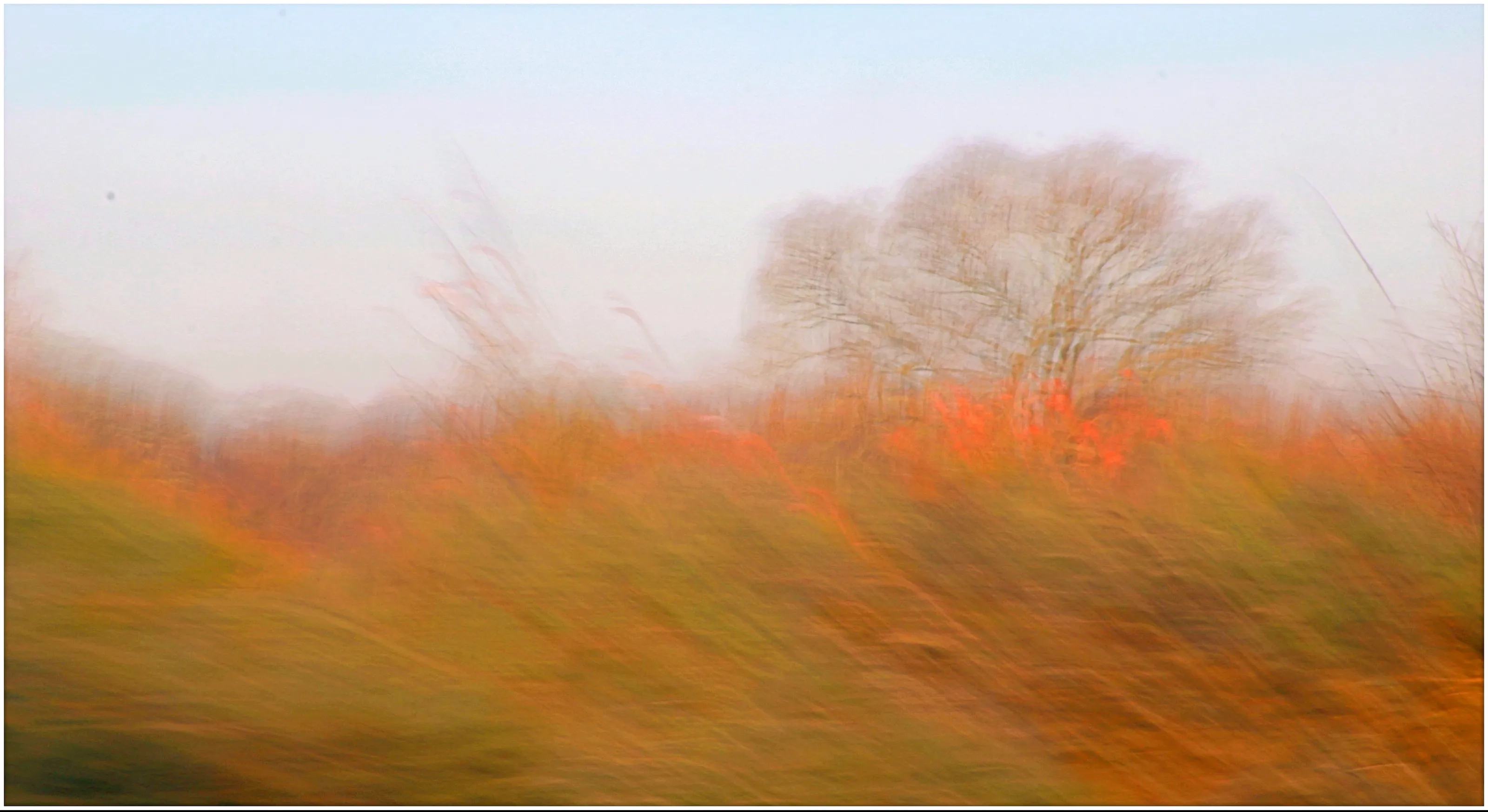 The colours of Autumn