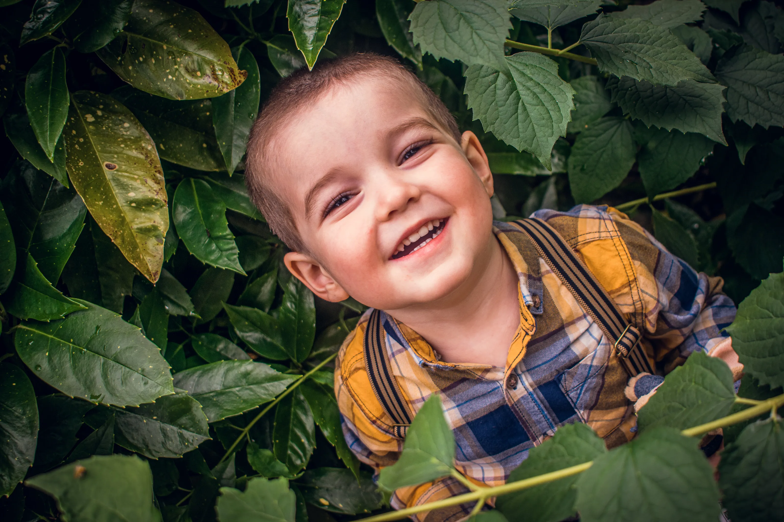 Playing in the bushes 🌳