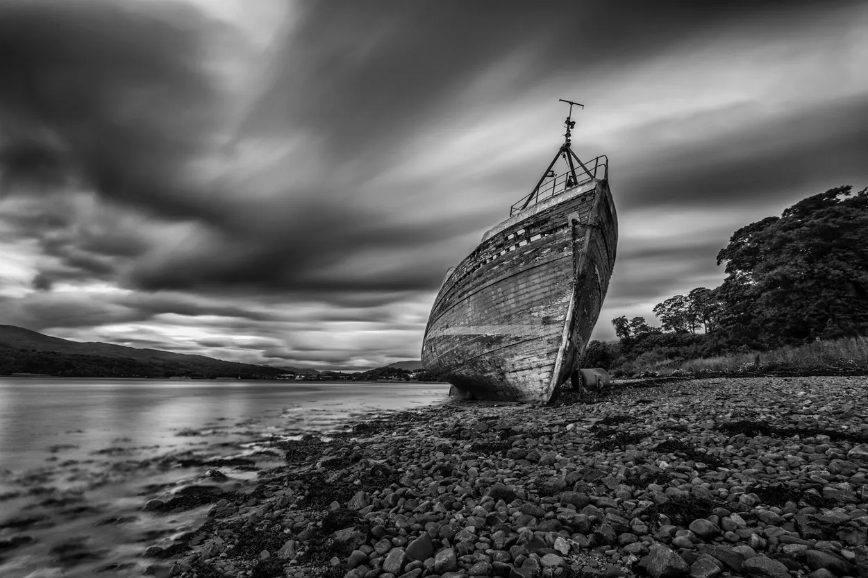 Entry 8729527