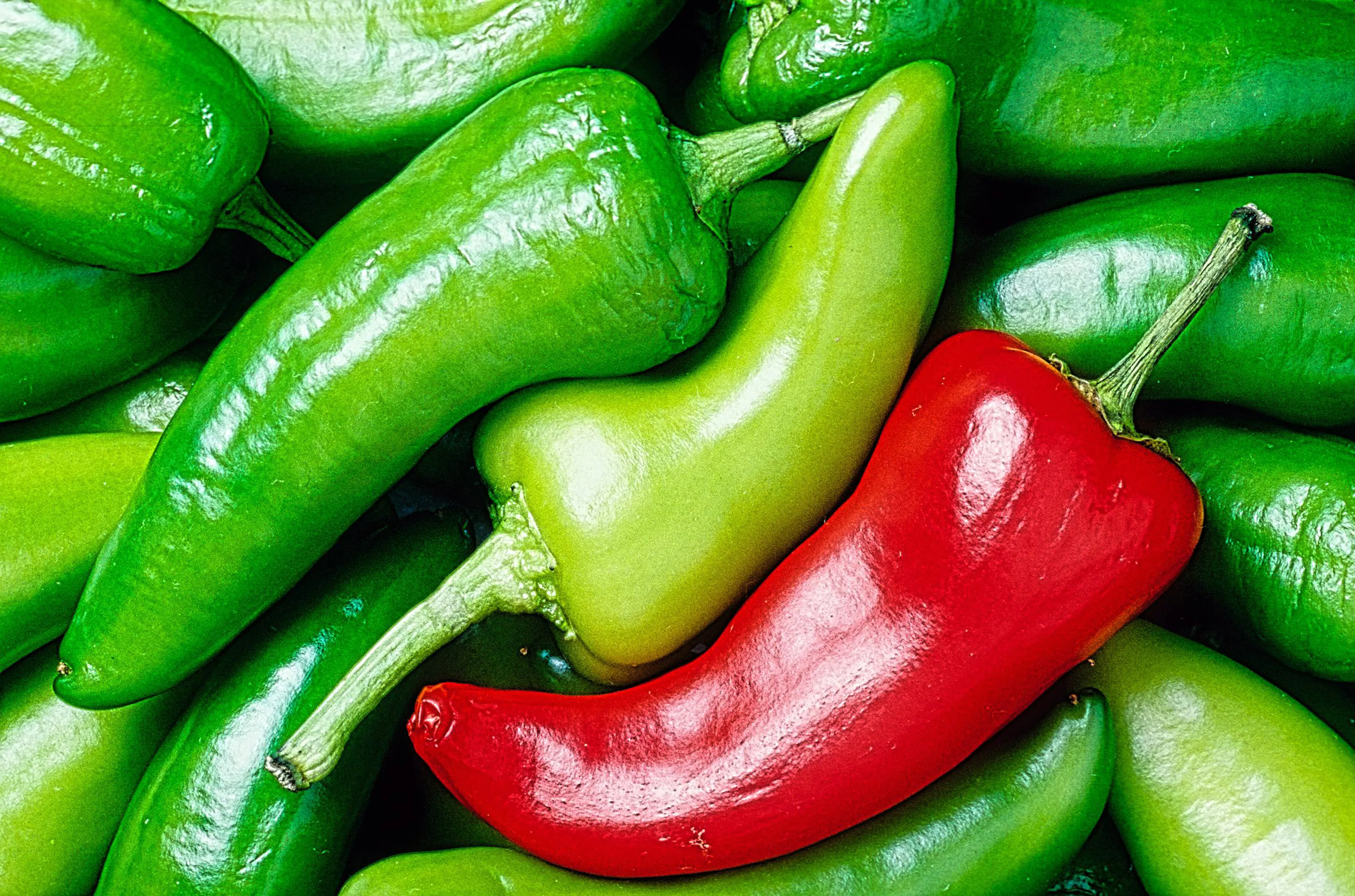 Chili peppers