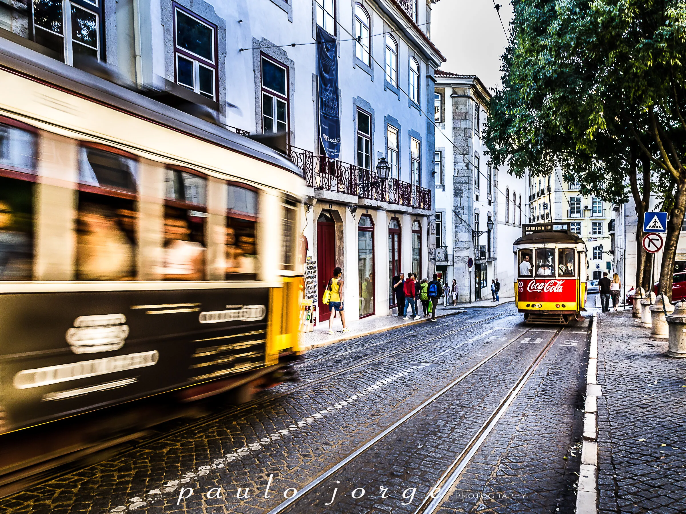 Lisbon Trams