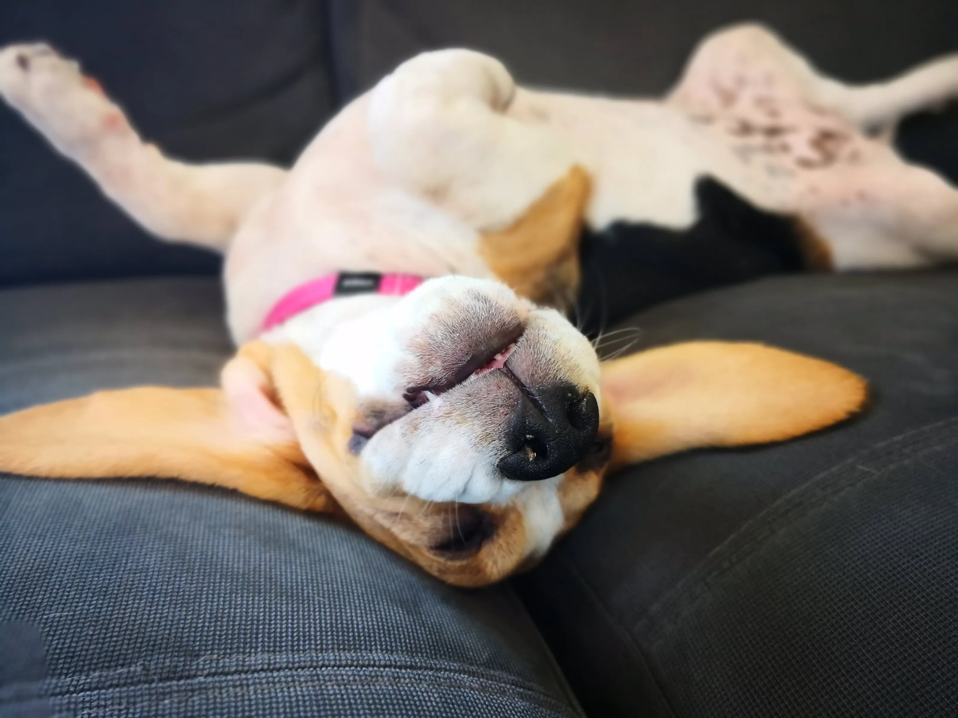 Nap Time