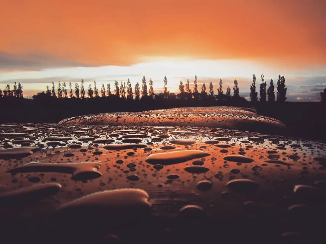 Farm sunset