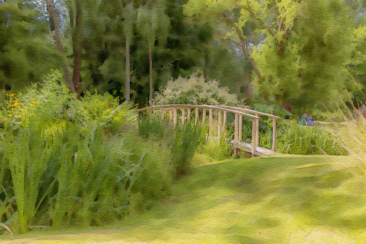 Entry 10441871