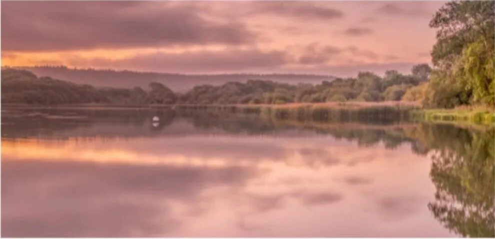 Tring Reservoir