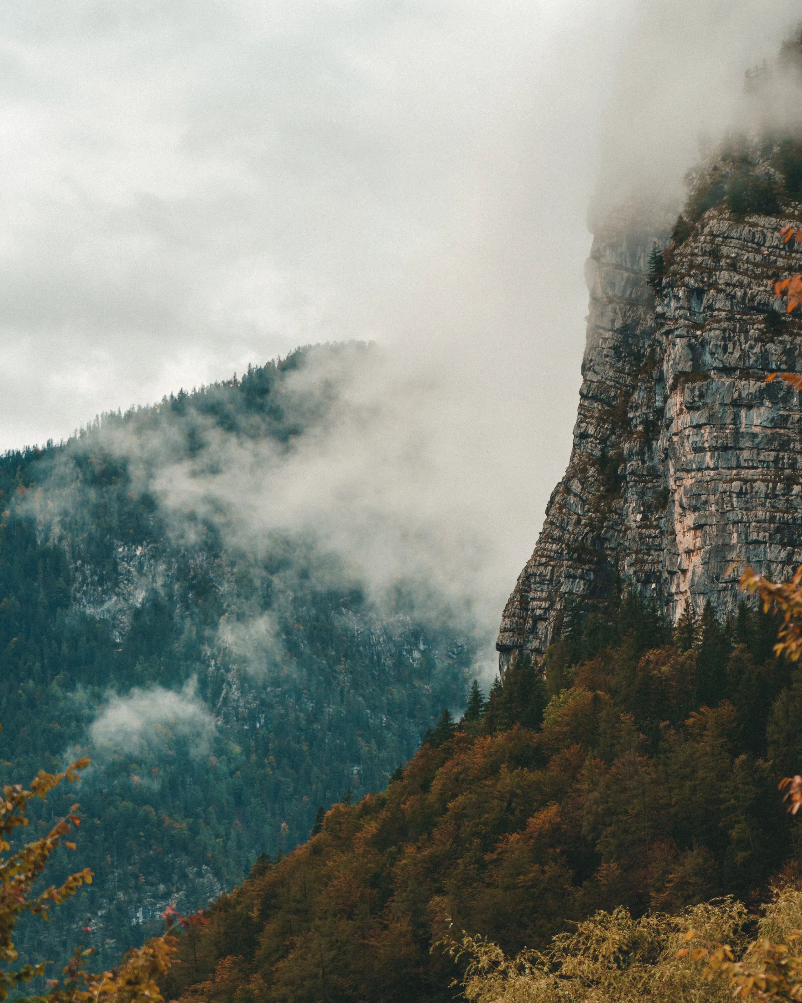 Head in the CLouds