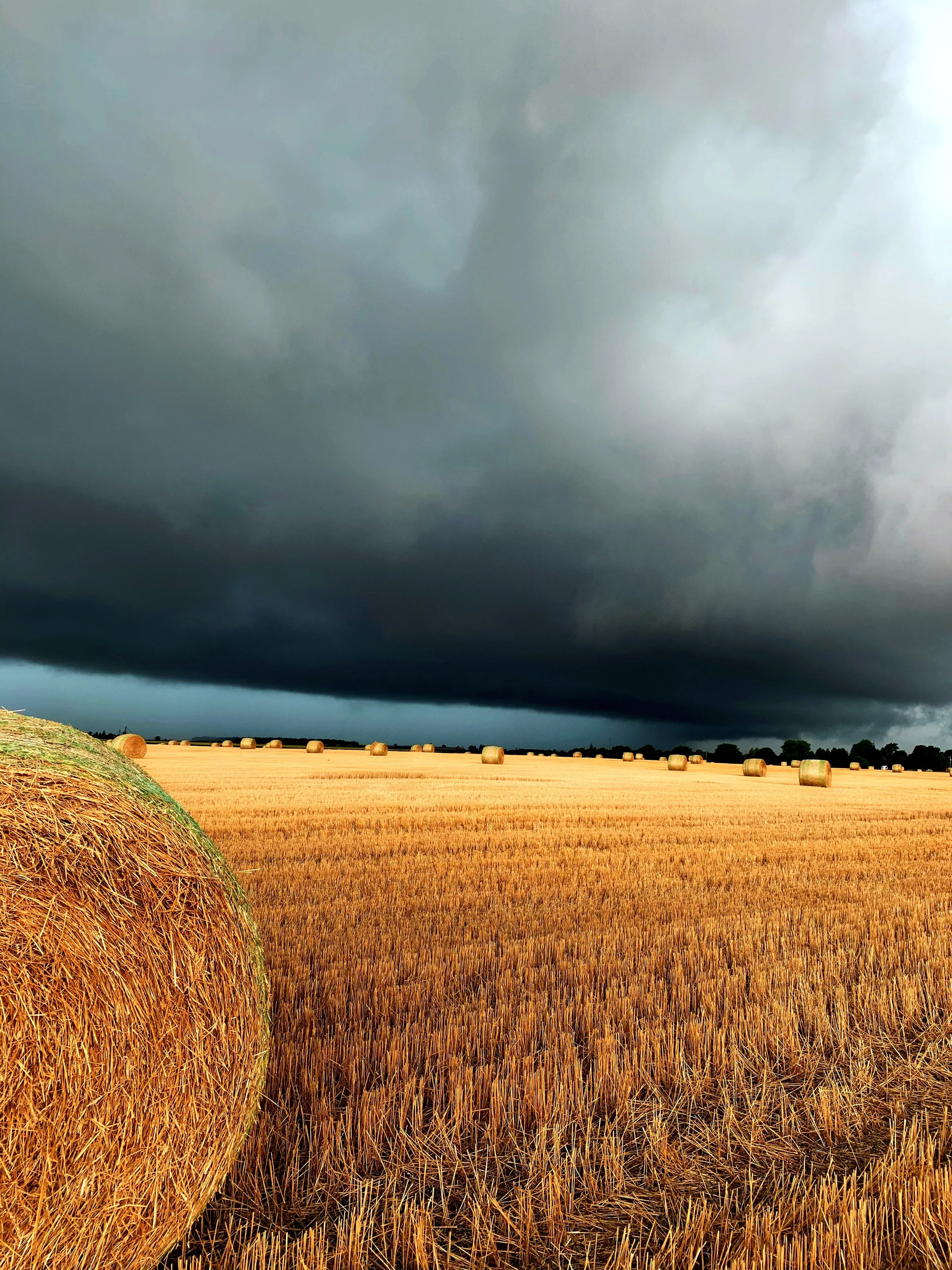 Southern Ontario Storm Day