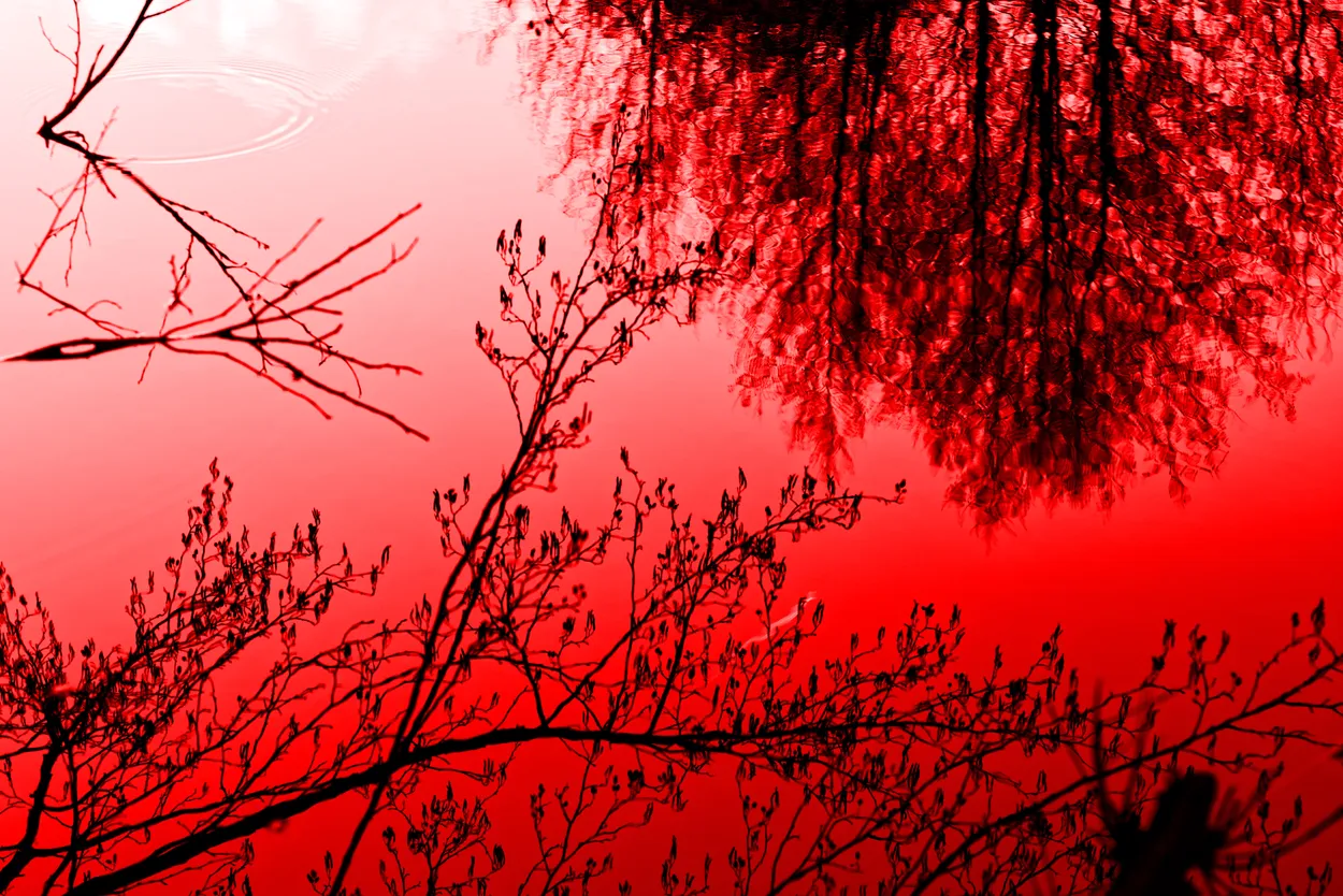 Entry 15814894